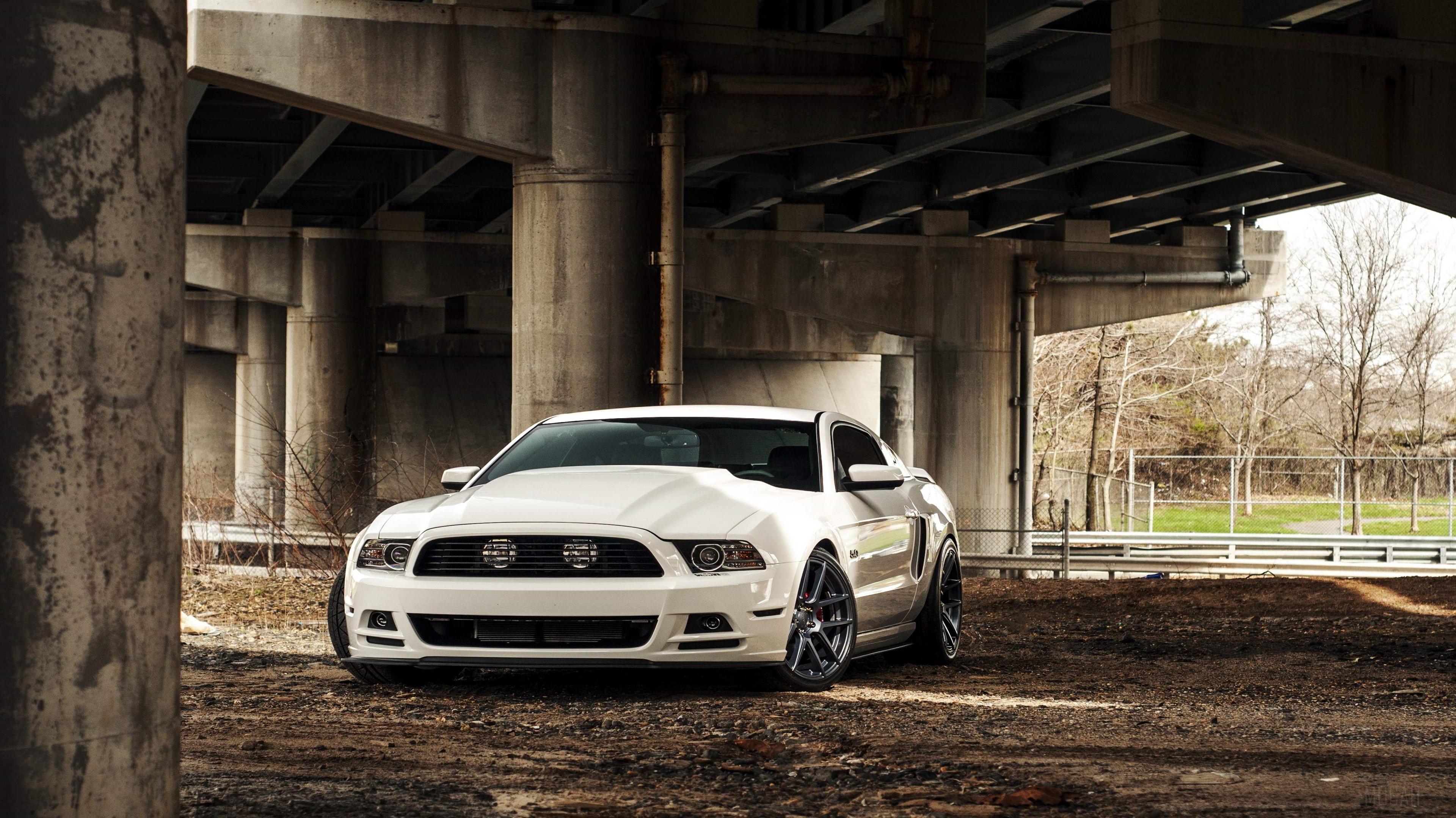 White Ford Mustang HD Wallpaper