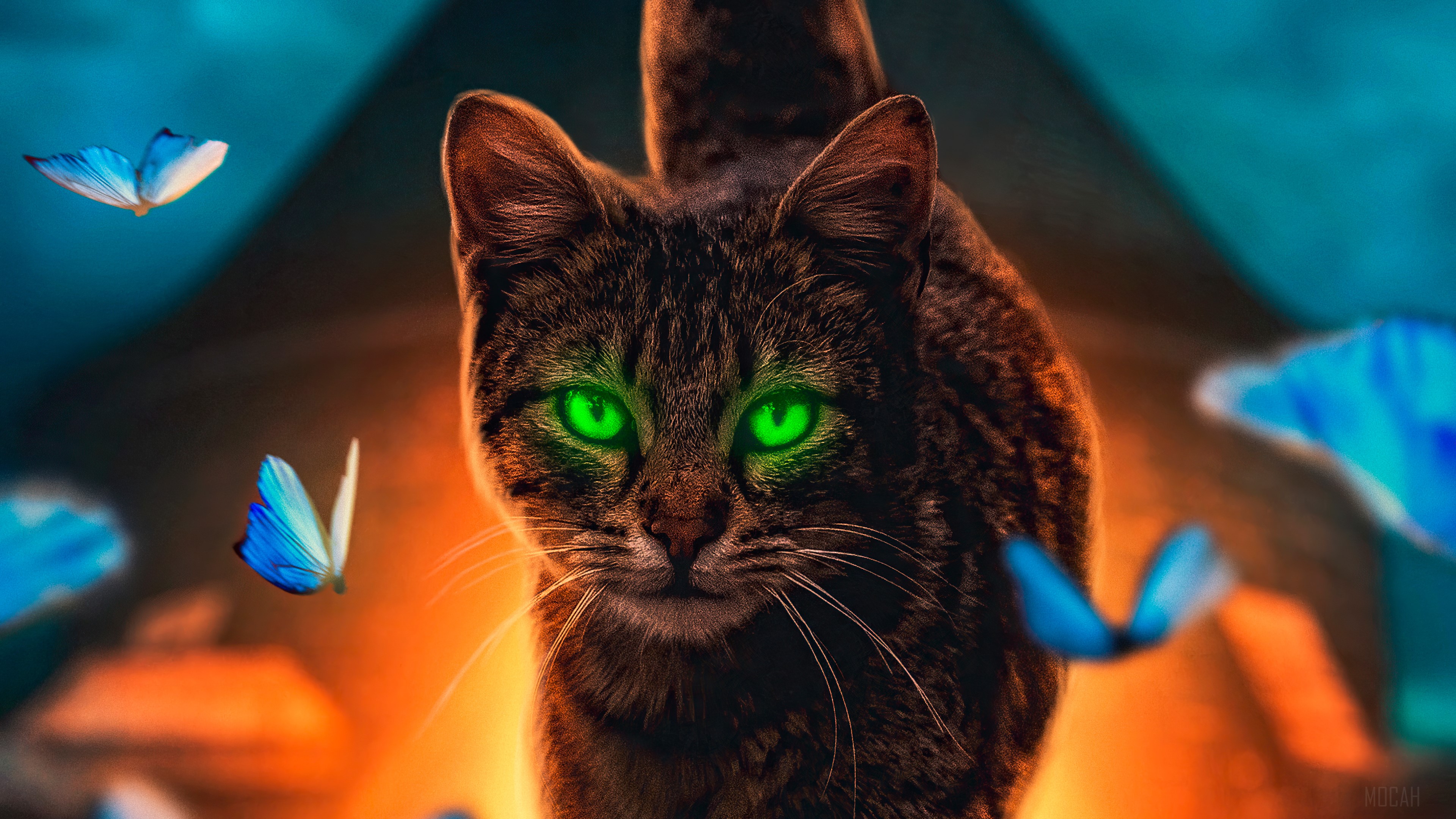 Cat with glowing green eyes and butterflies 4K HD Wallpaper
