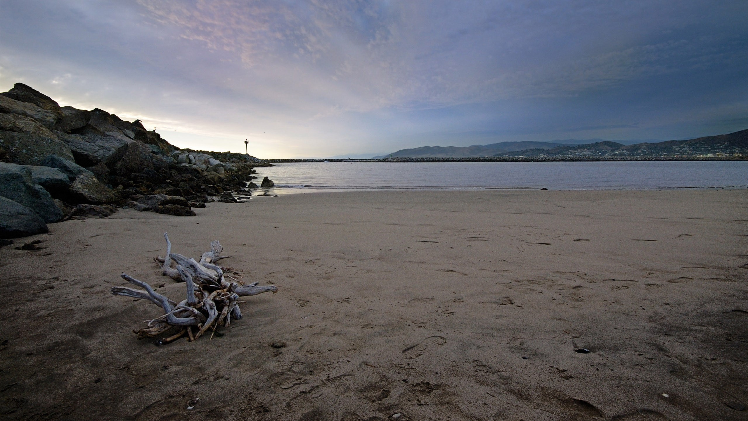 Driftwood on a beach with a breakwater and distant hills HD Wallpaper