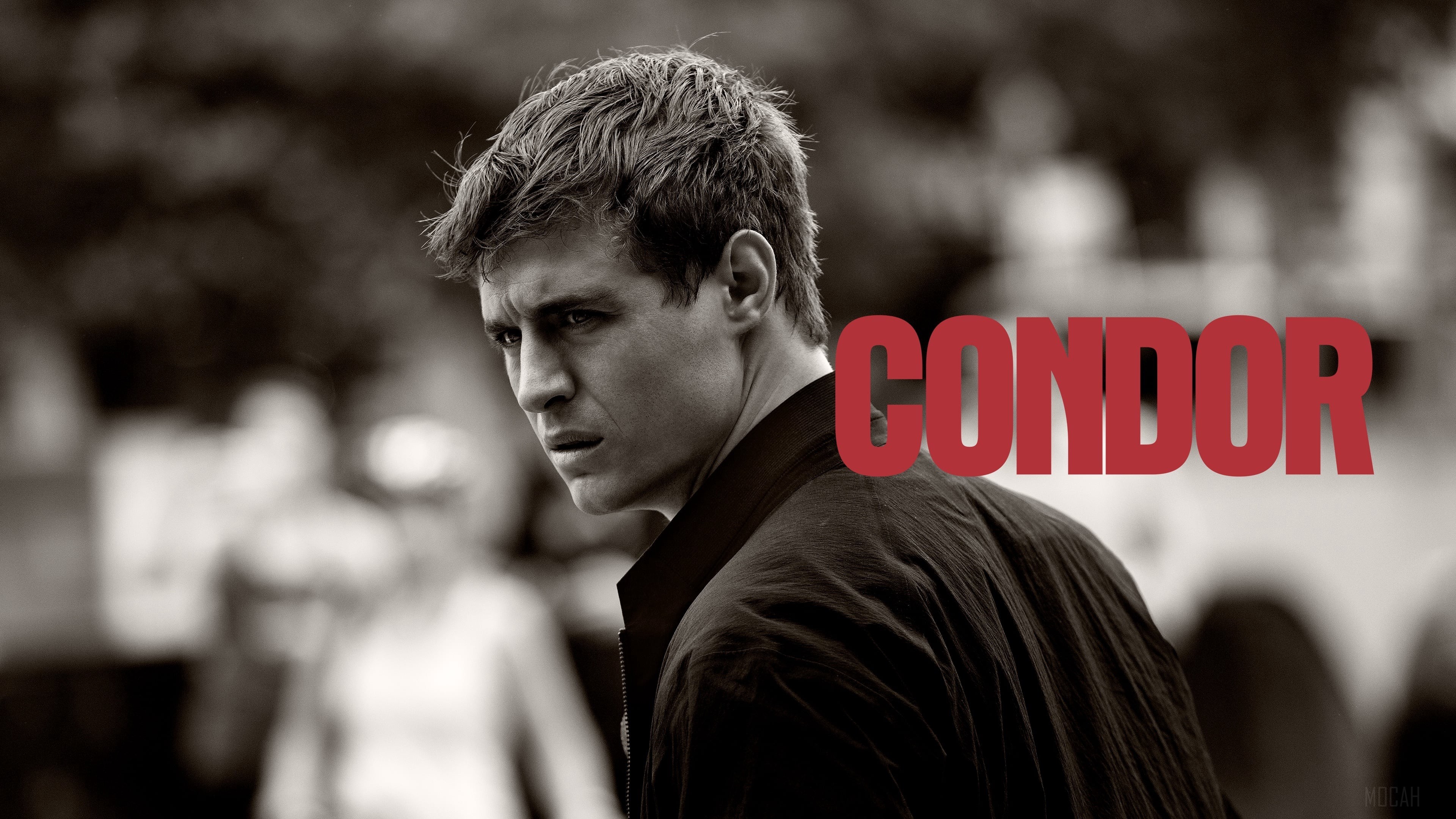 Condor HD Wallpaper