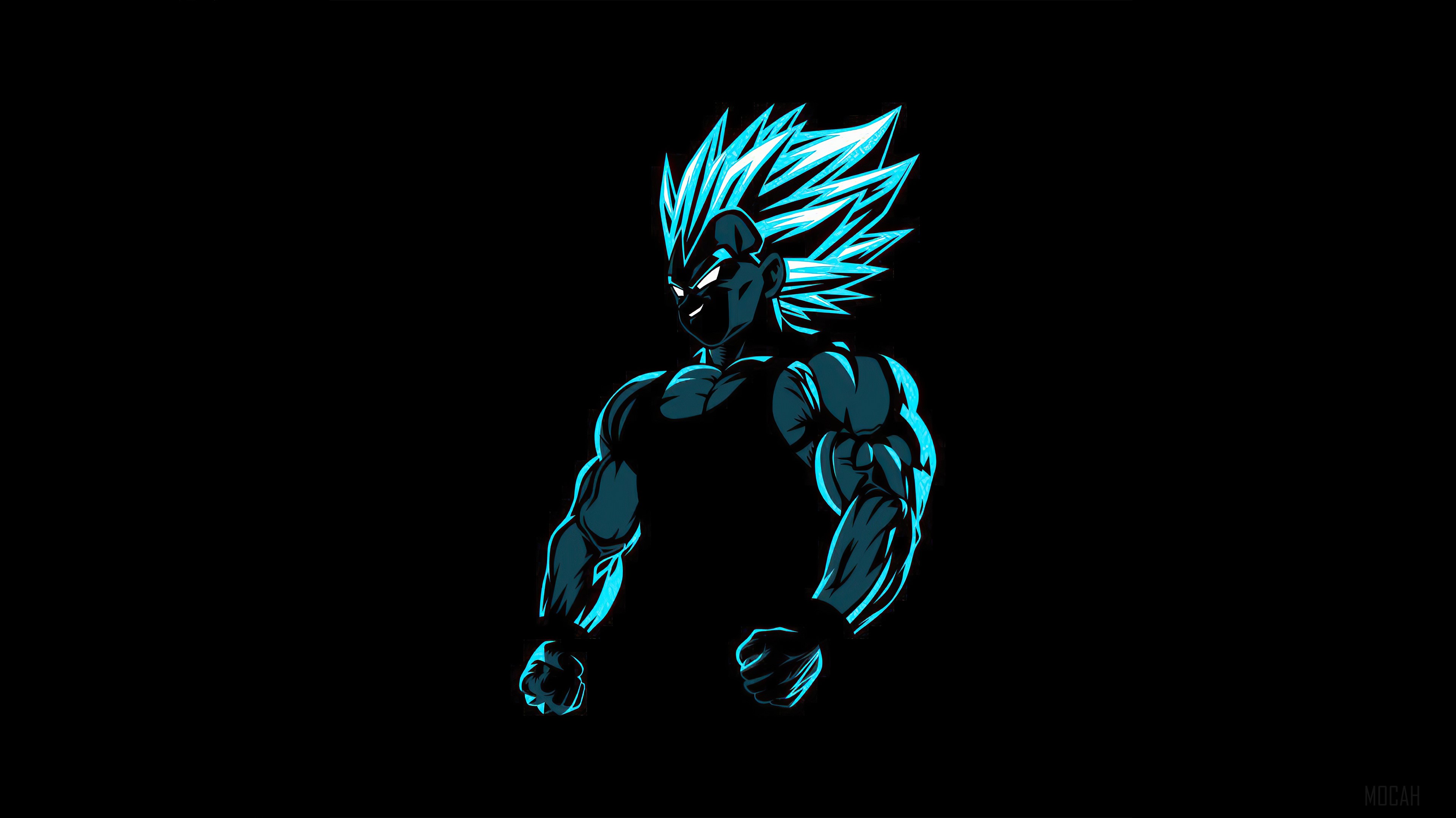 Vegeta from Dragon Ball Z 4K HD Wallpaper