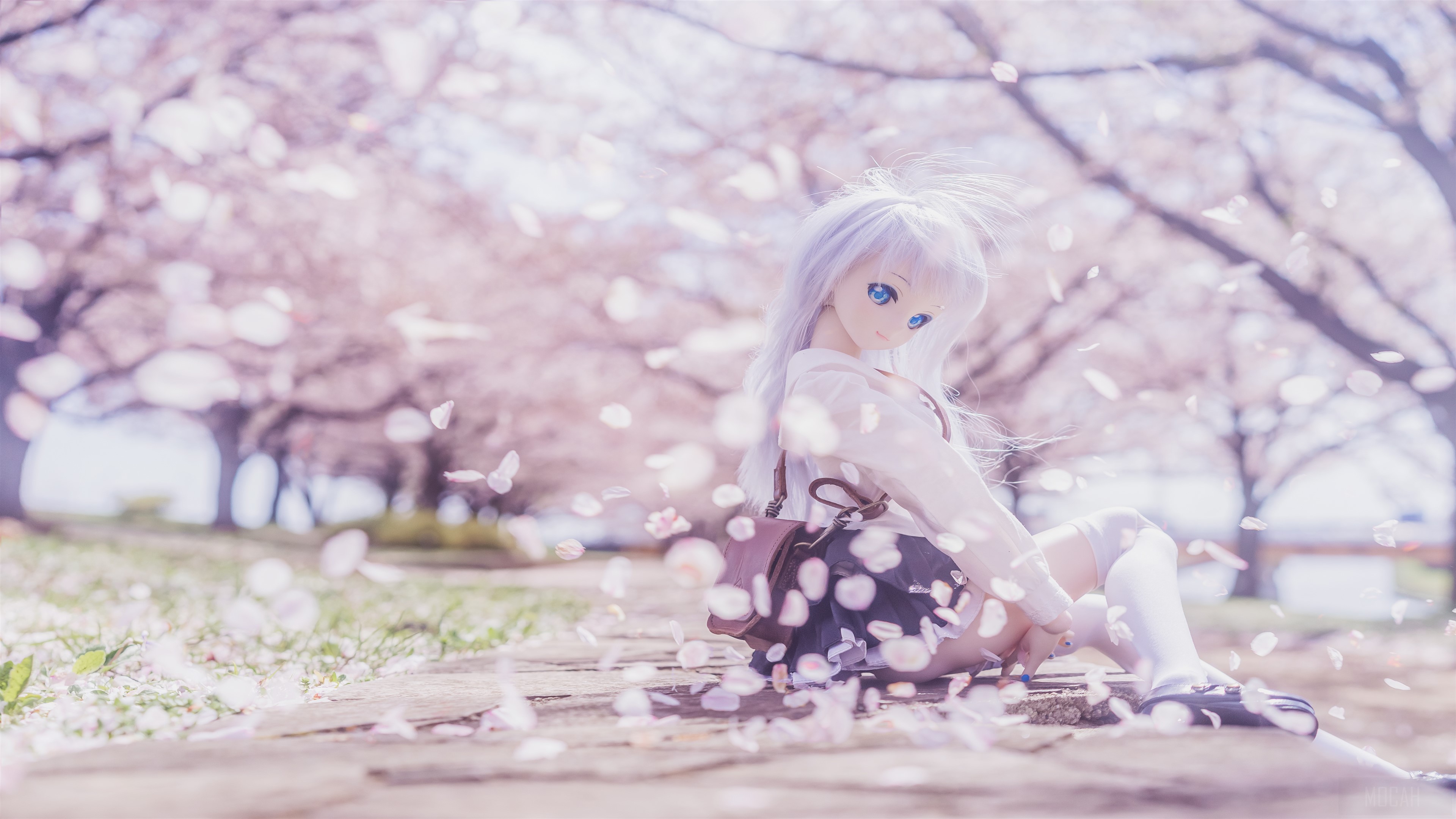 Blonde Doll Sitting Under Sakura Trees 4K HD Wallpaper