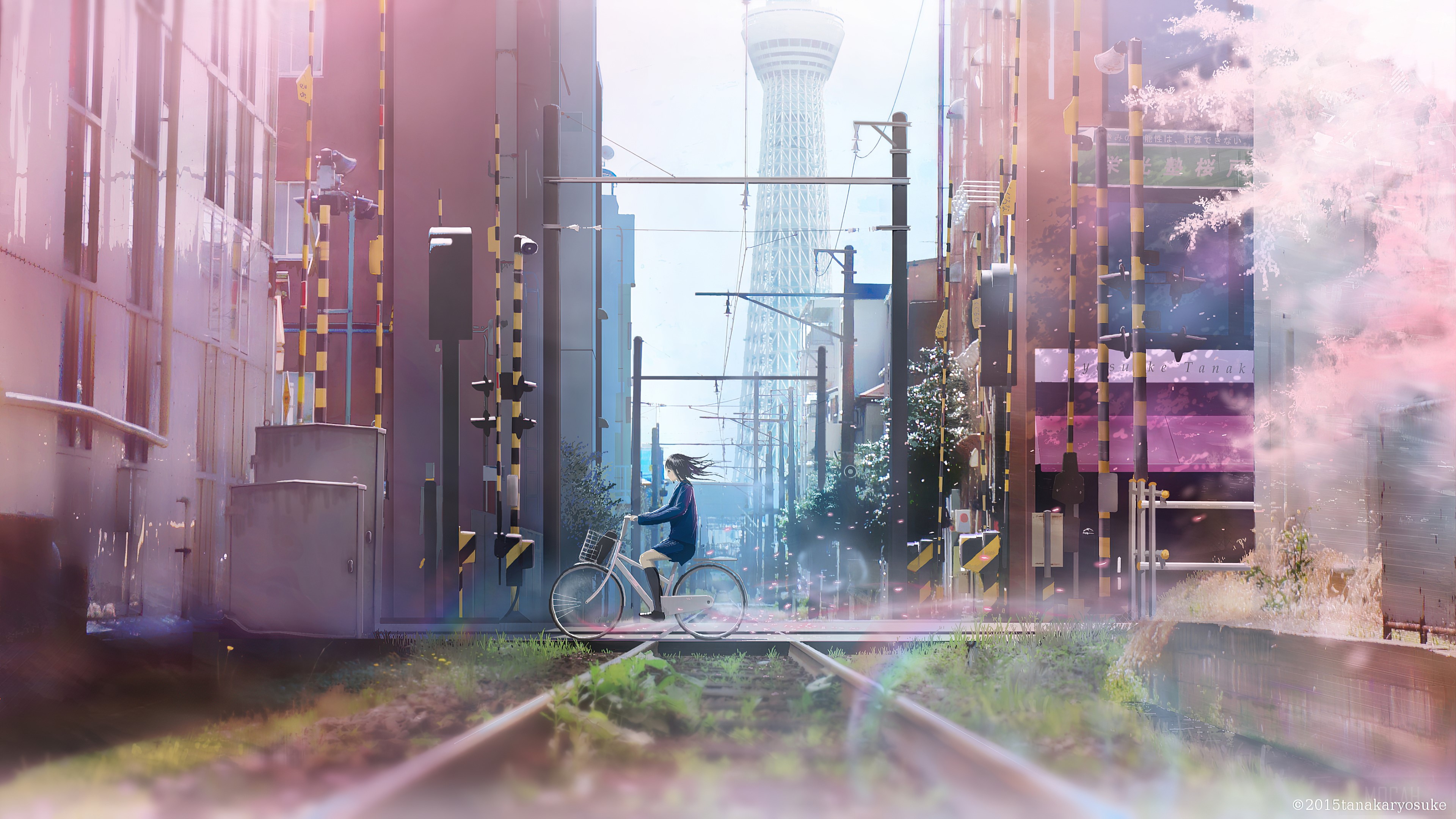 Anime Girl On Bicycle HD Wallpaper