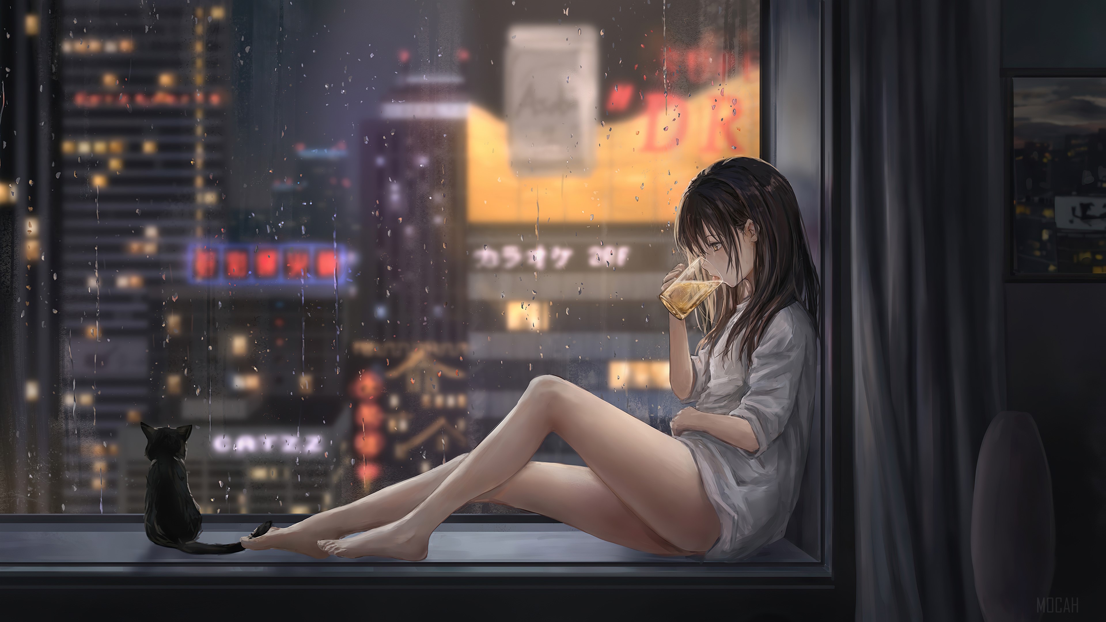 Anime girl and cat on windowsill in rain HD Wallpaper