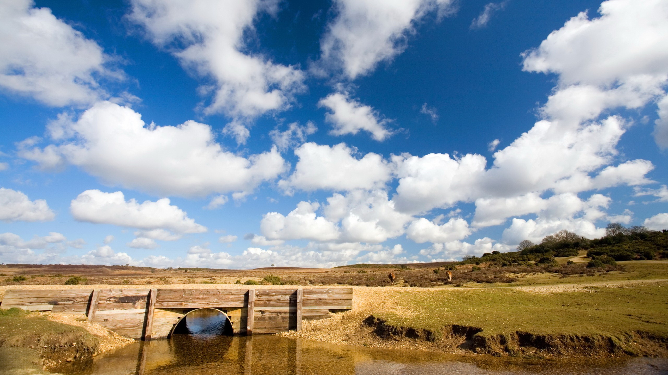 Wooden bridge over a stream under a blue sky with clouds HD Wallpaper