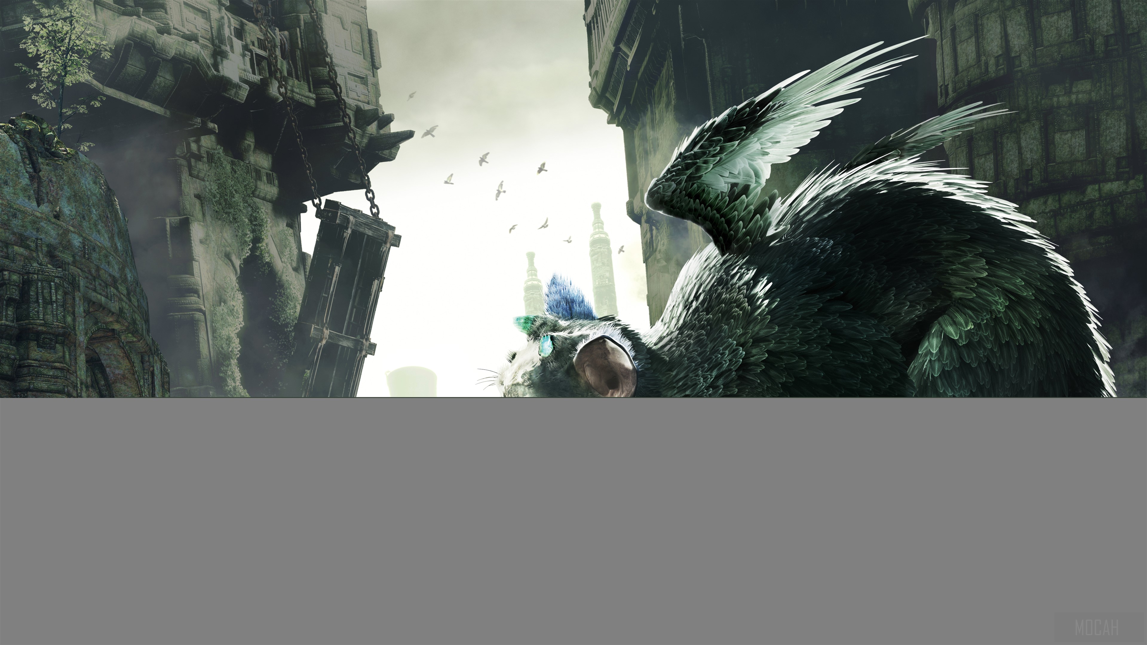 The Last Guardian HD Wallpaper