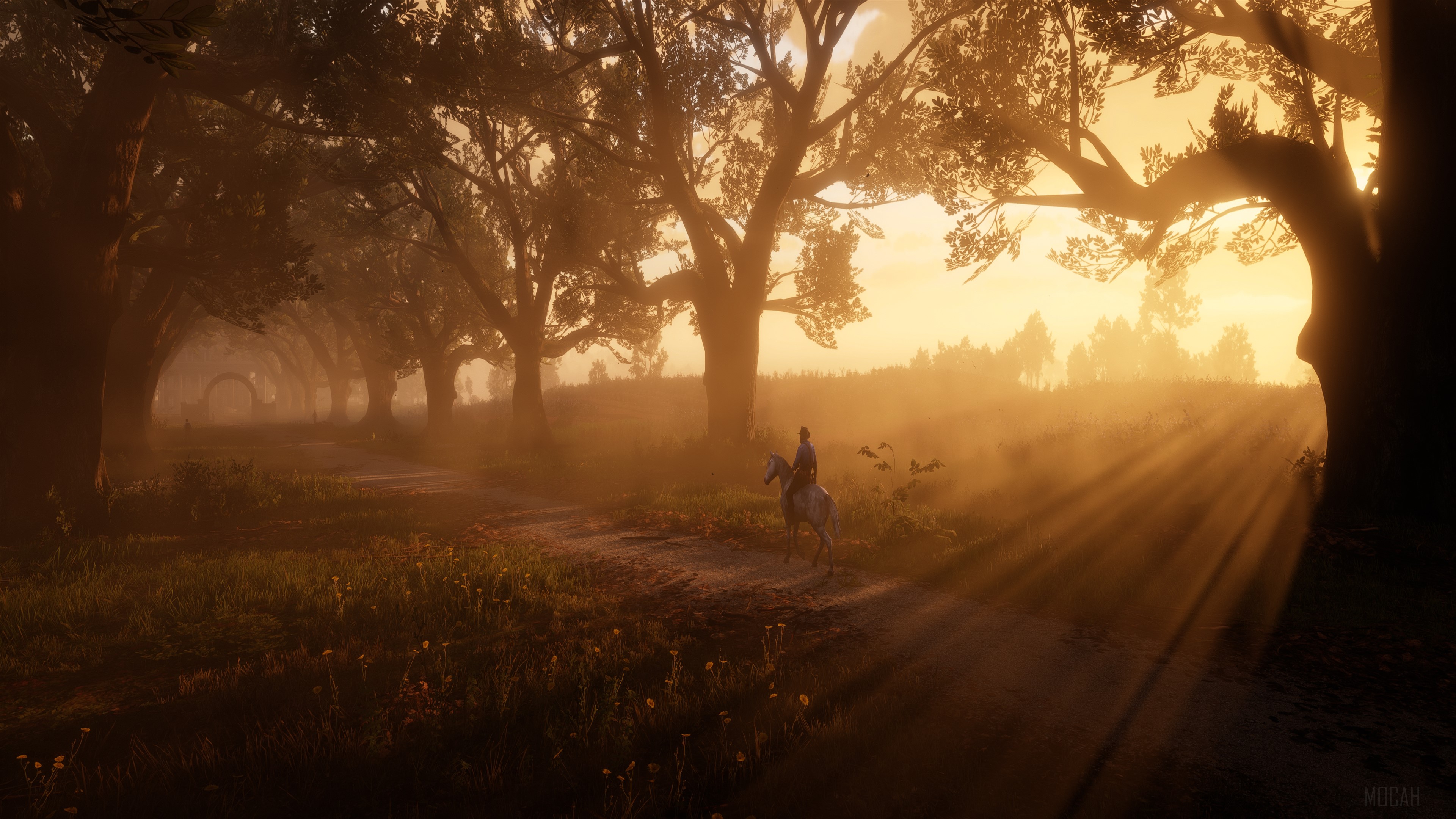 Man on horse on path in Red Dead Redemption 2 4K HD Wallpaper