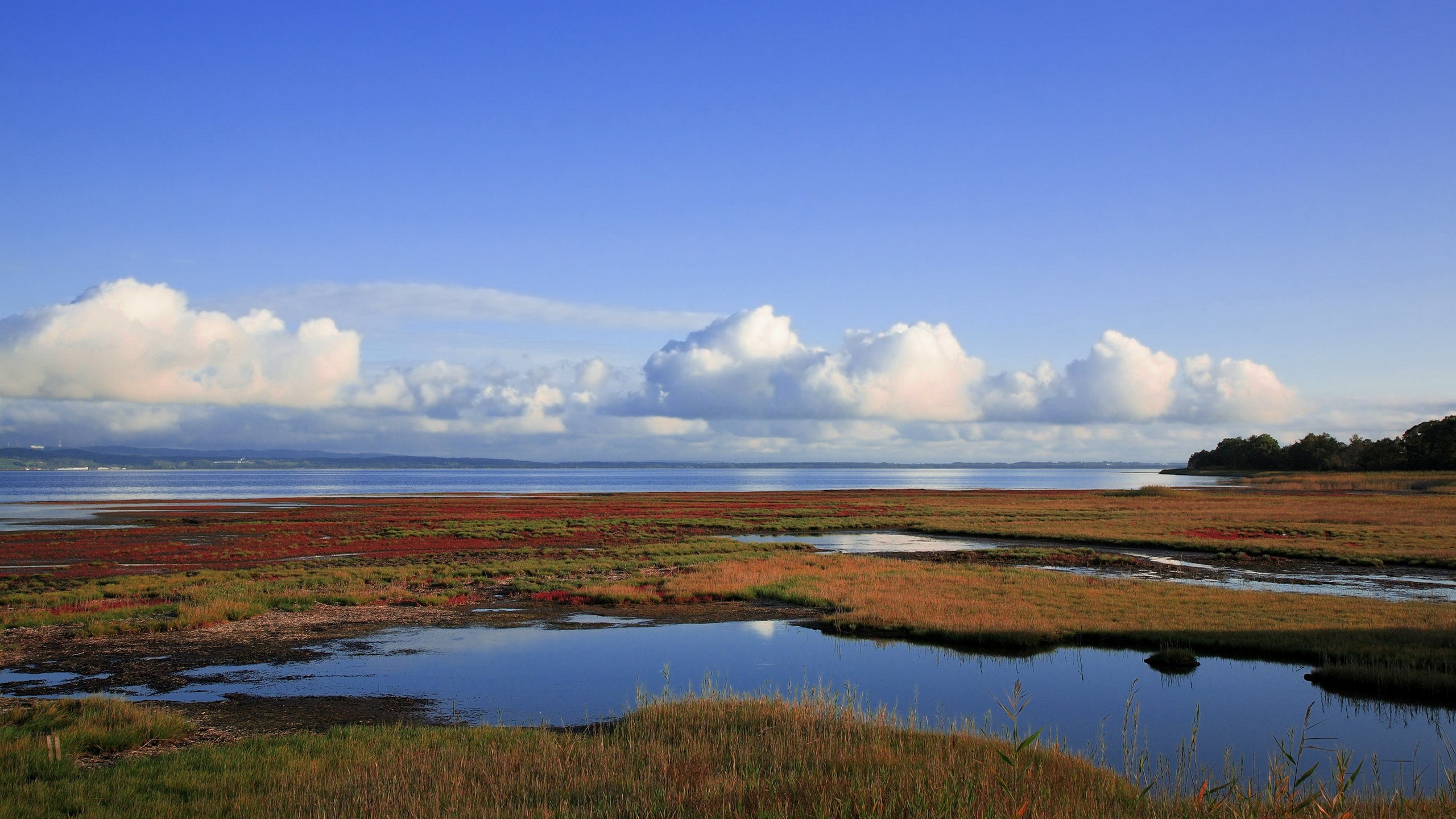 Marshland with water channels and blue sky HD Wallpaper