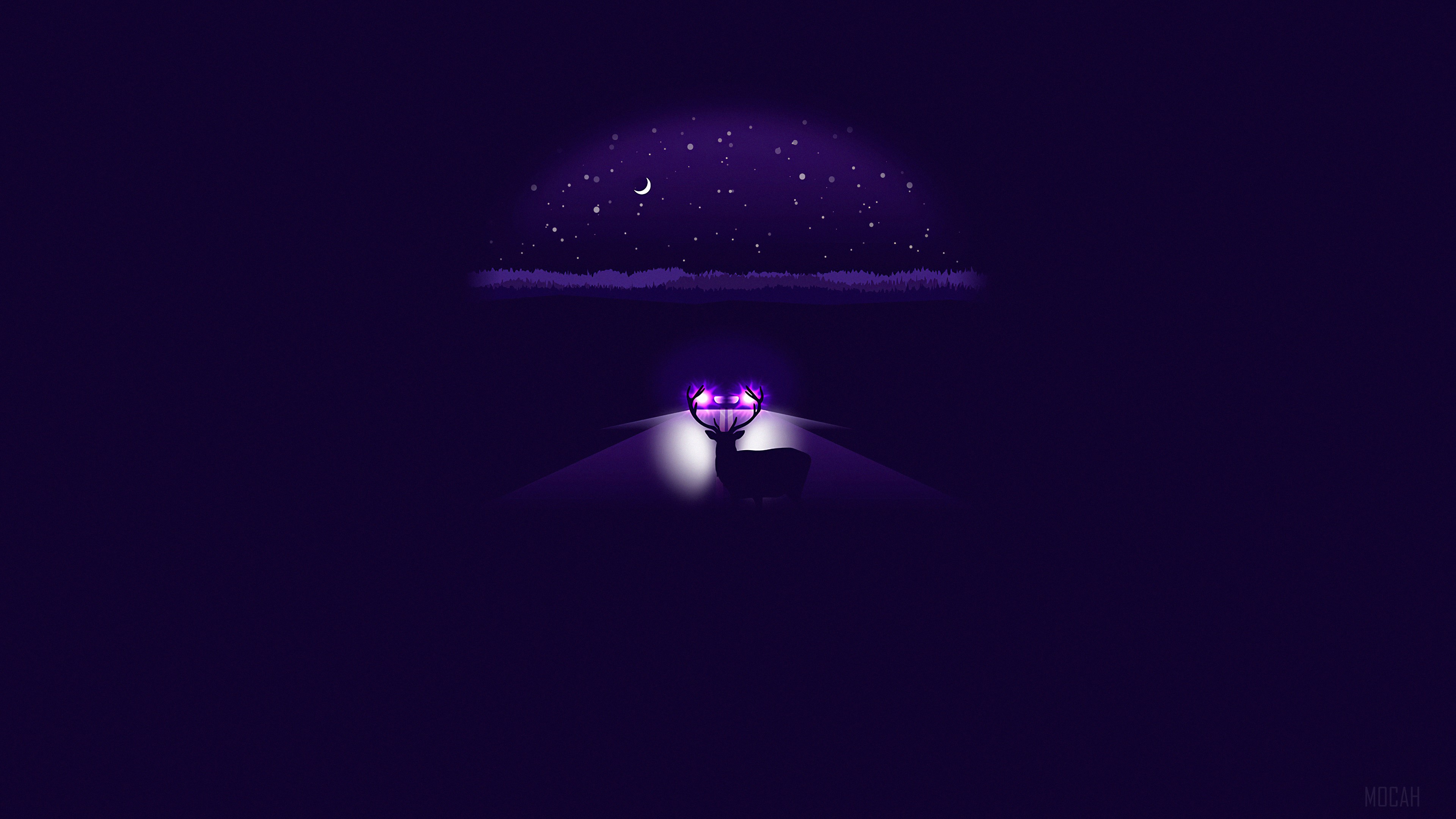 Minimalist Reindeer on Road at Night 4K HD Wallpaper