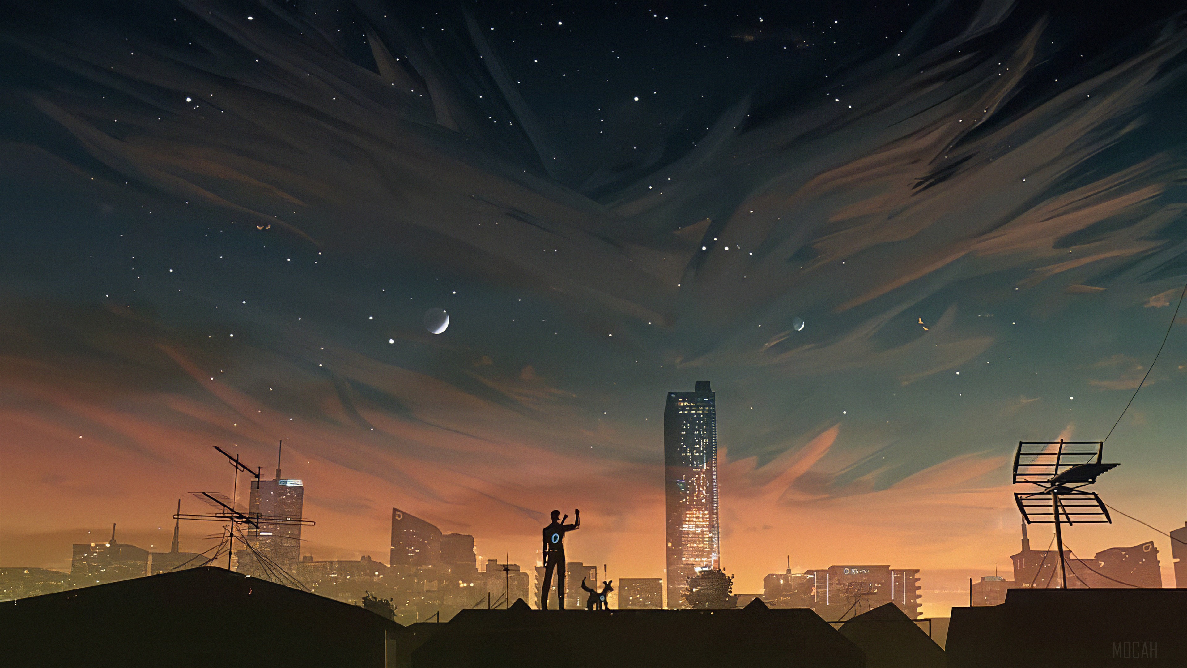 Man and dog on rooftop at sunset 4K HD Wallpaper