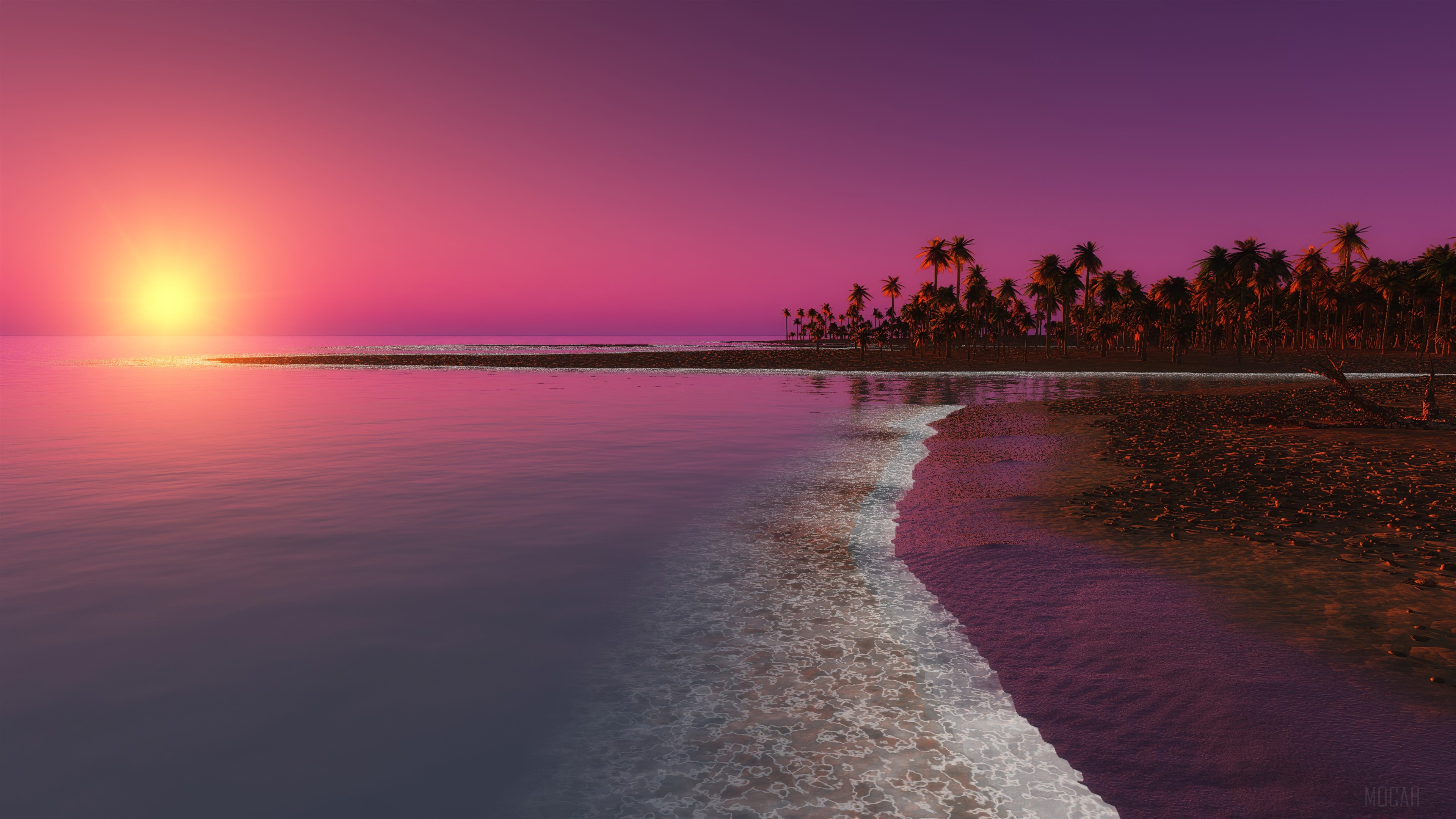 Palm Trees Sunset Beach 4K HD Wallpaper