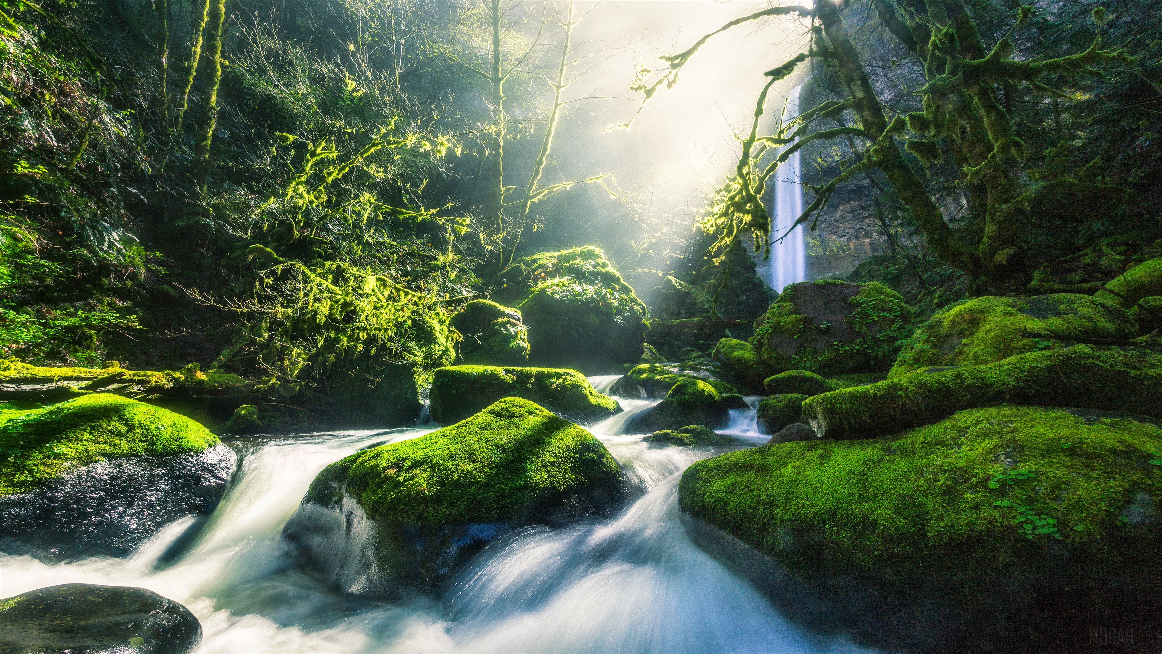 Mossy Rocks and Waterfall in Columbia River 4K HD Wallpaper
