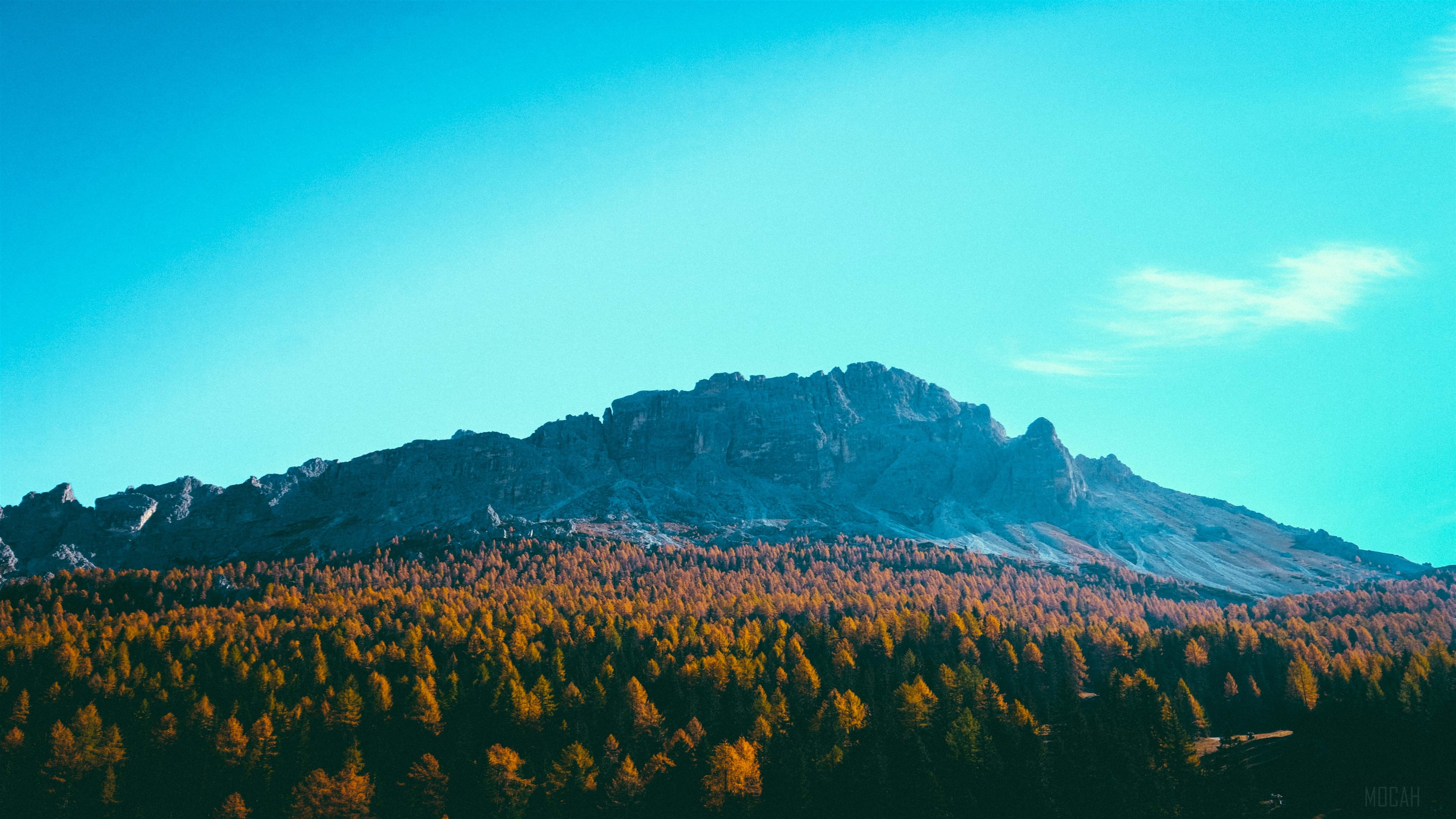 Mountains and Autumn Forest Under Blue Sky 4K HD Wallpaper