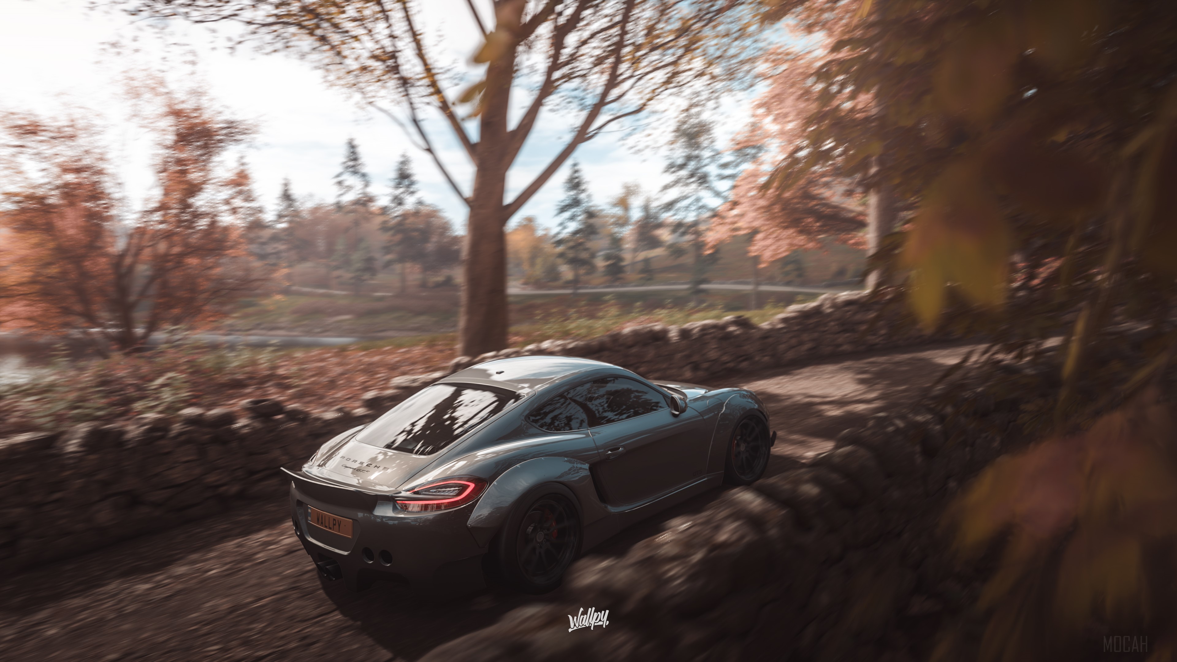 Porsche 911 Cayman in Autumn Forest 4K HD Wallpaper