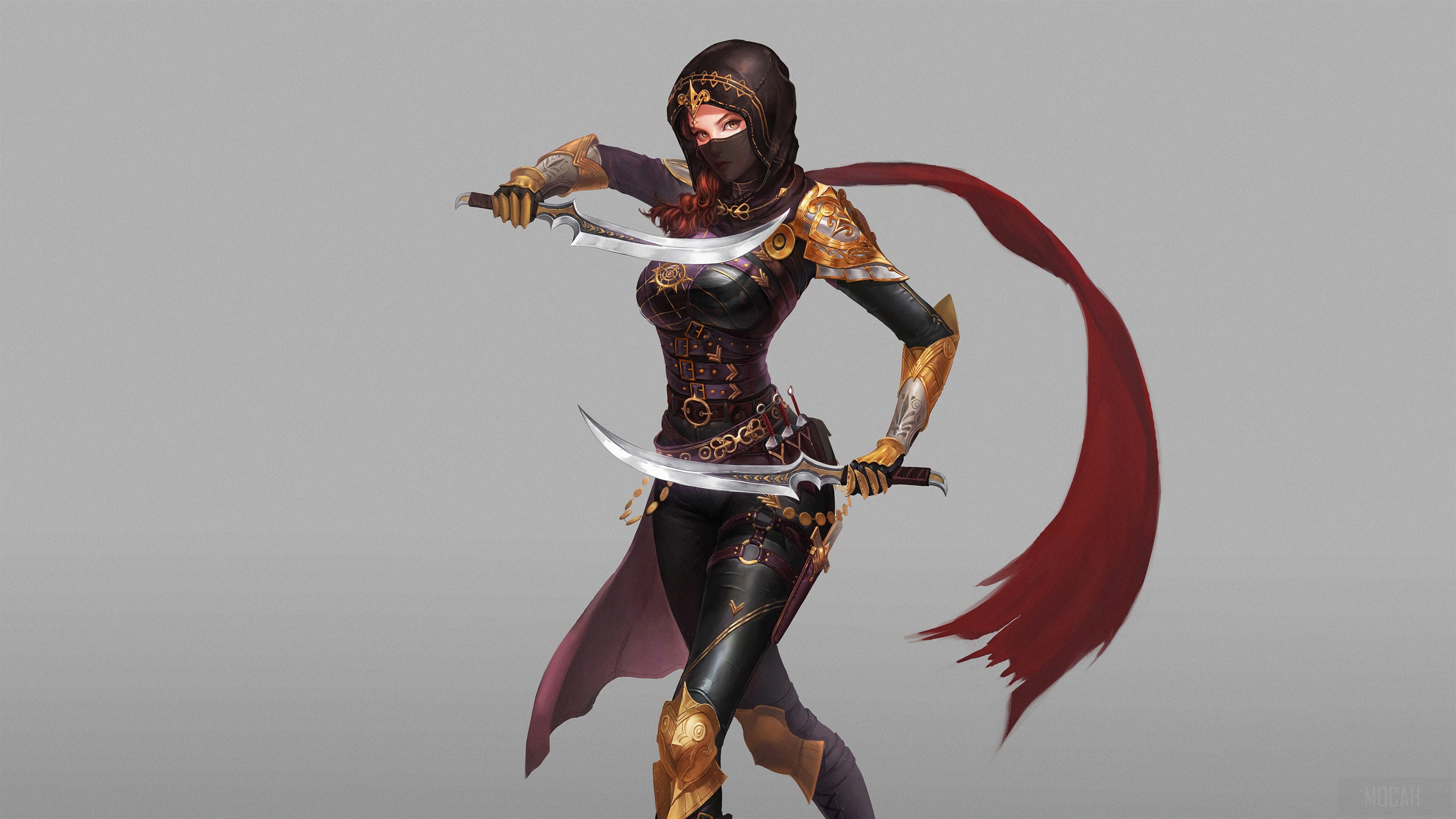 Assassin with two curved swords HD Wallpaper