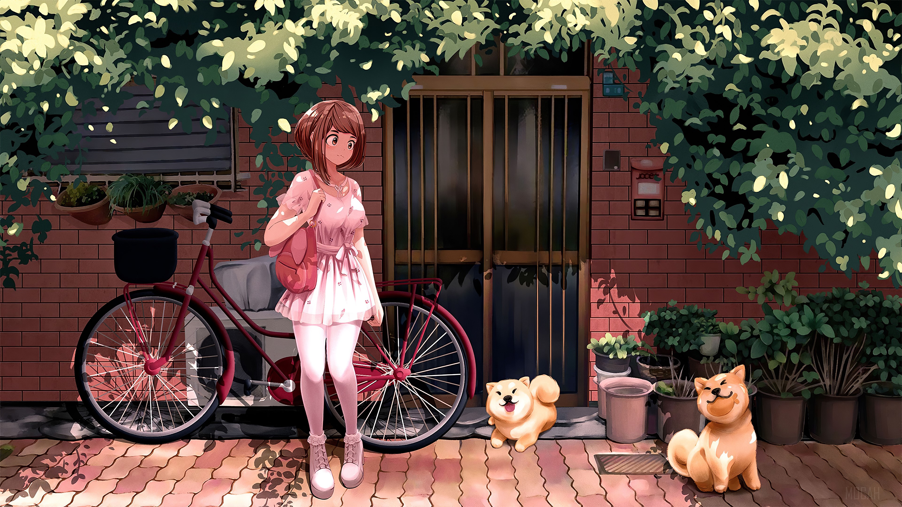 Boku No Hero Academia Girl with Dogs 4K HD Wallpaper