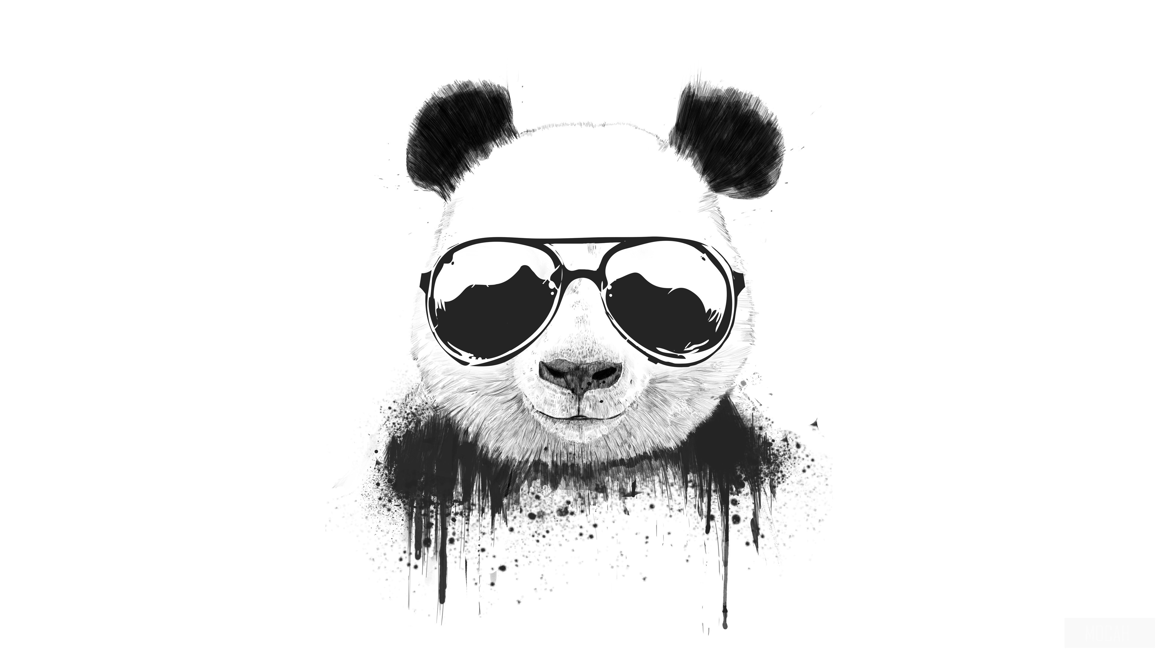 Stay Cool Panda HD Wallpaper