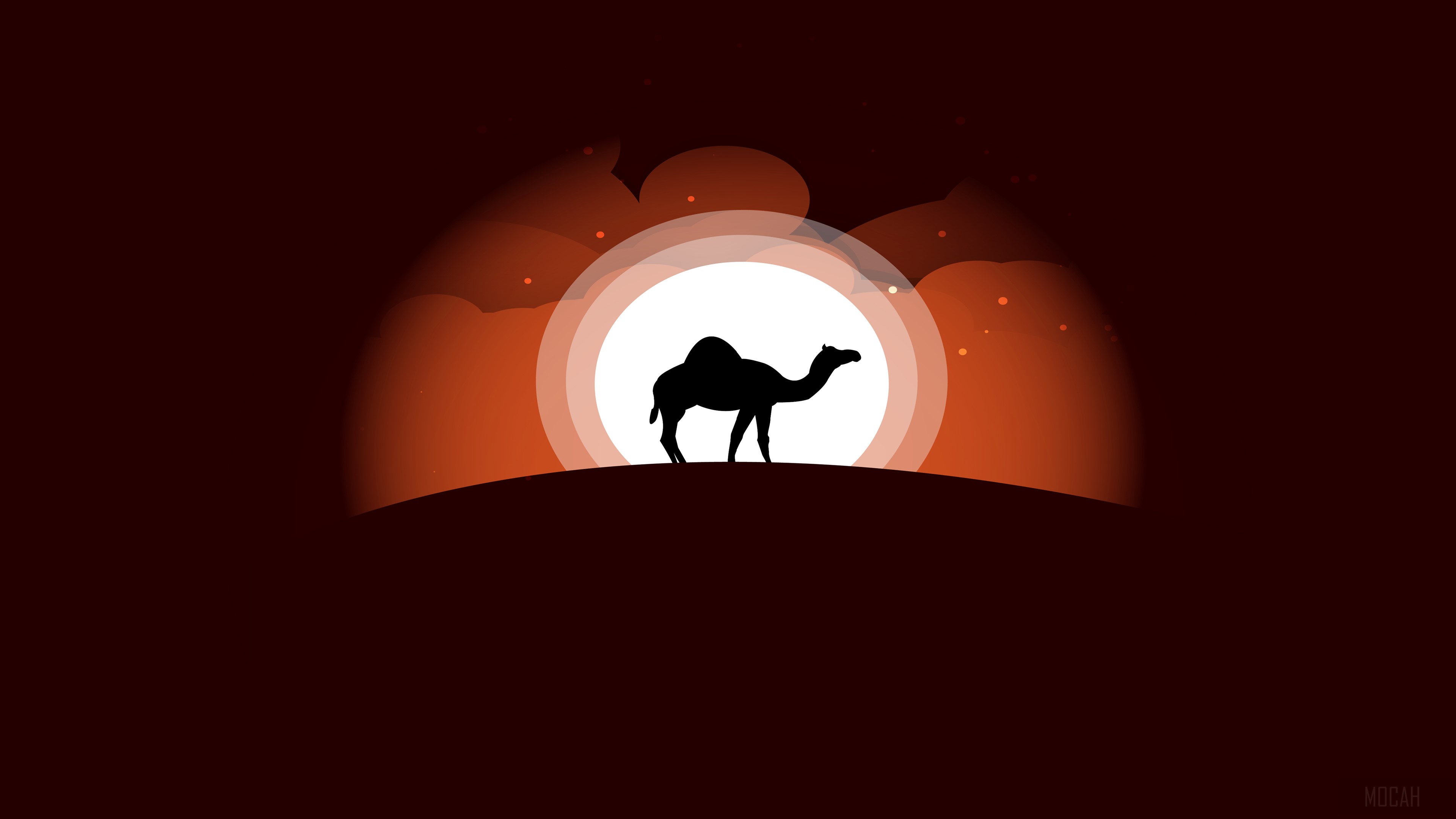 Camel Silhouette in Desert Sunset Minimal Art 4K HD Wallpaper