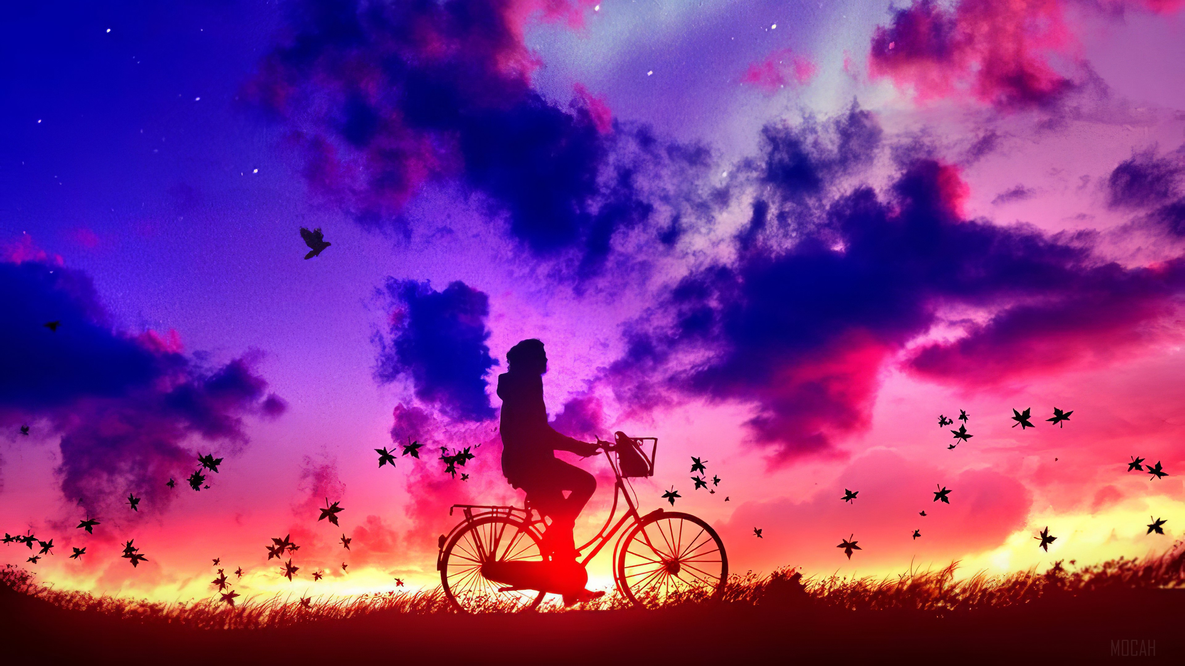 Silhouette of a person on a bicycle against a colorful sunset sky HD Wallpaper