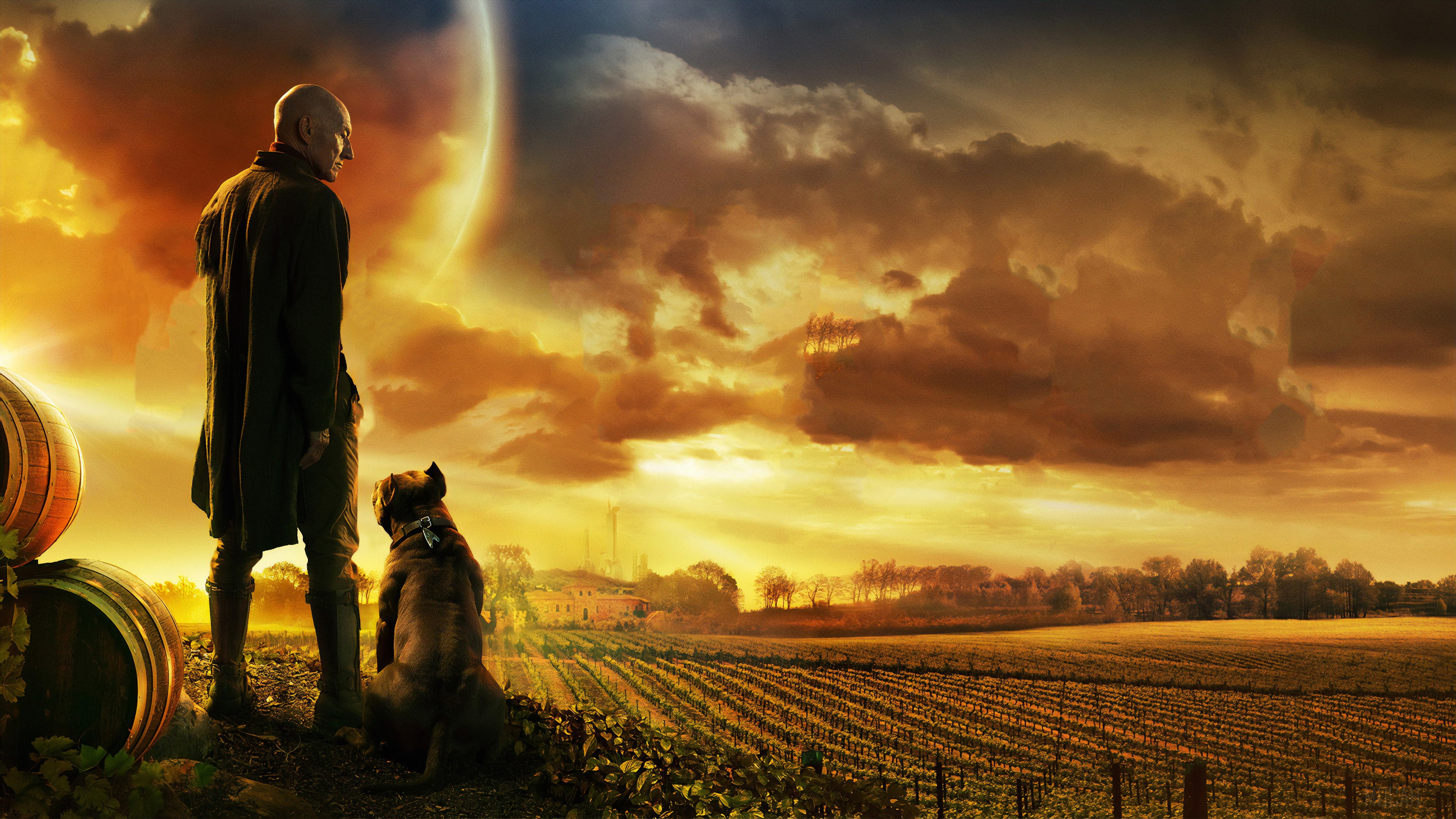 Star Trek Picard with dog on vineyard 4K HD Wallpaper
