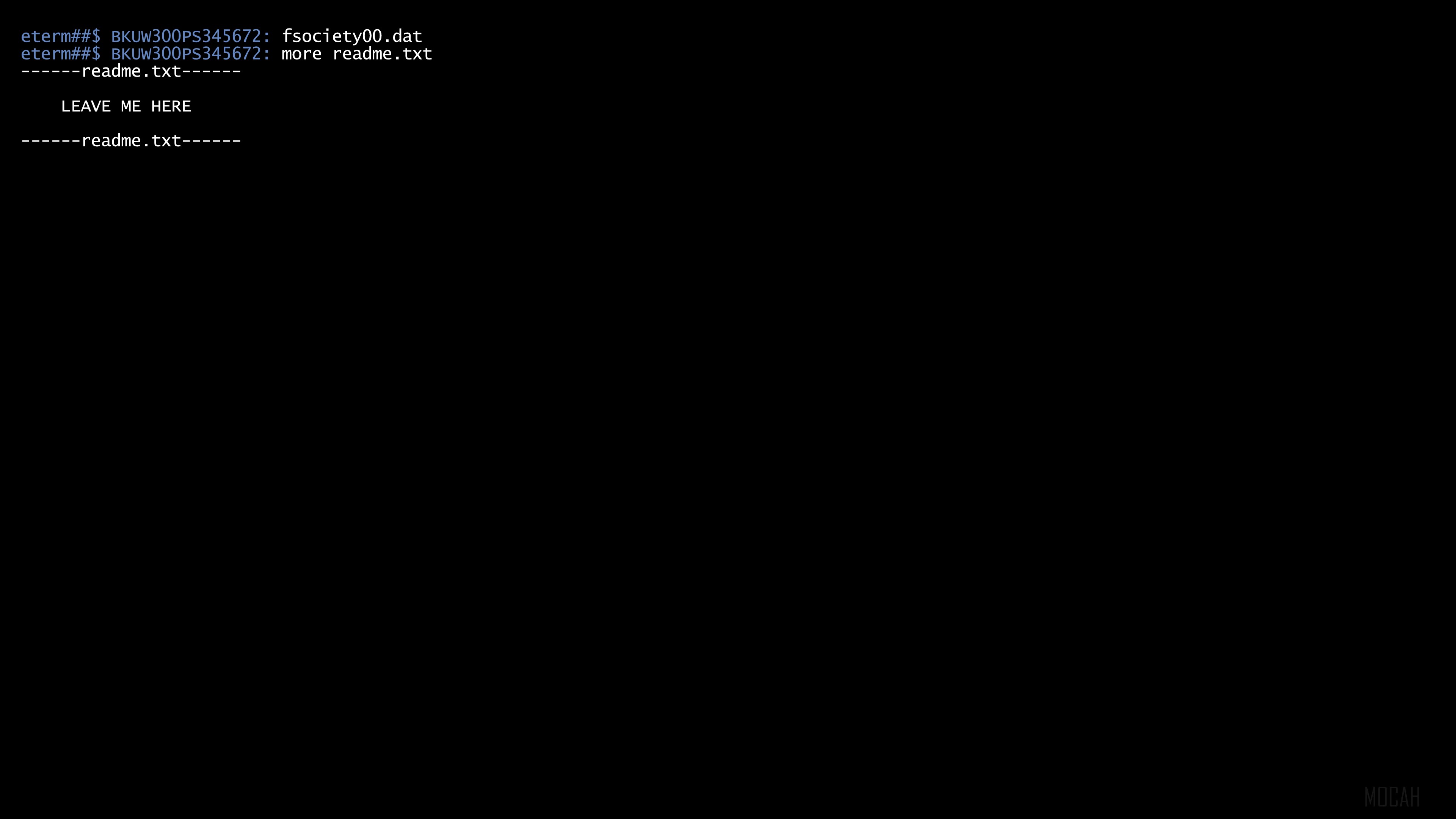 Fsociety00.dat file on eterm terminal HD Wallpaper