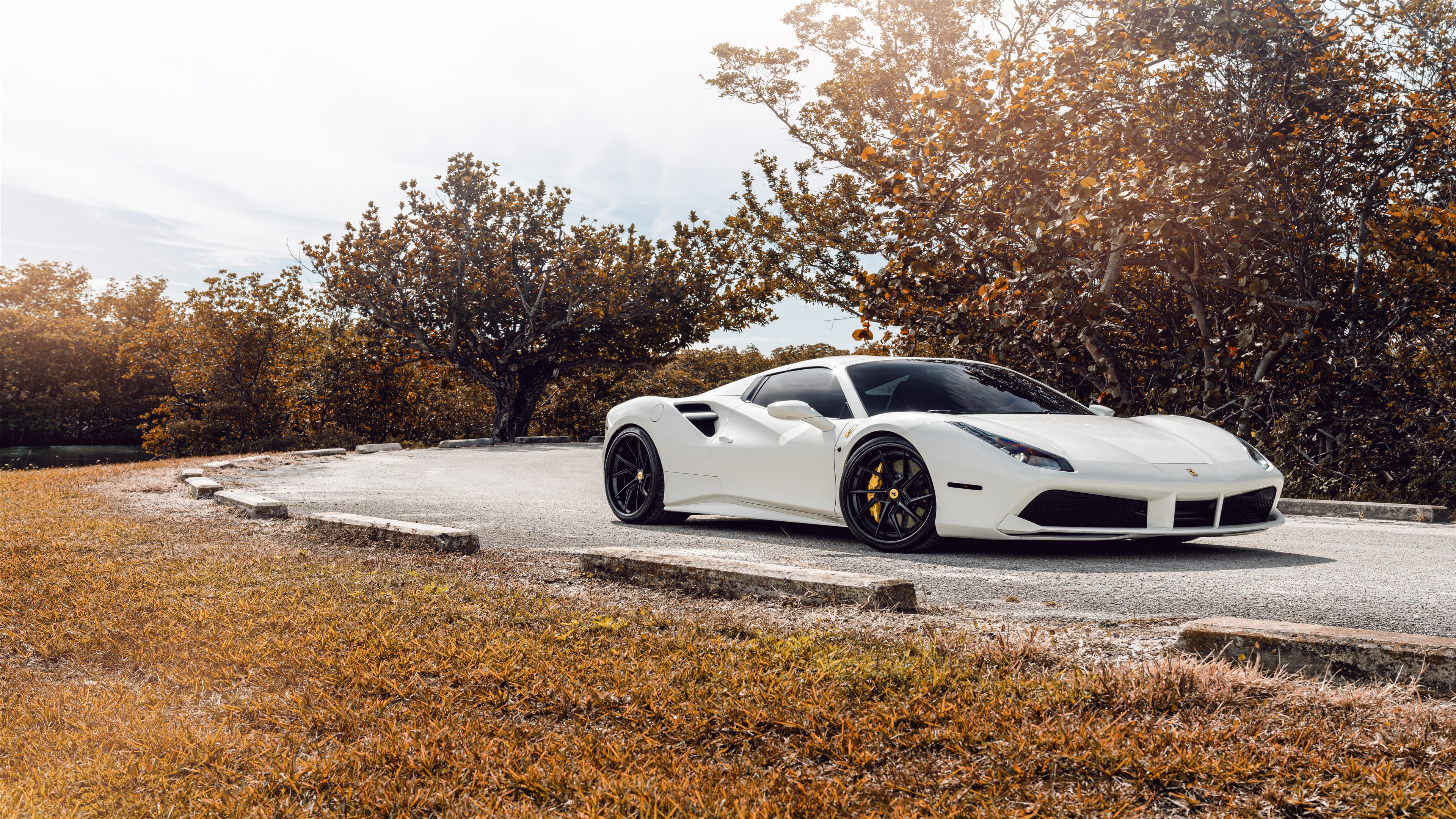 White Ferrari 488 on a road with trees HD Wallpaper