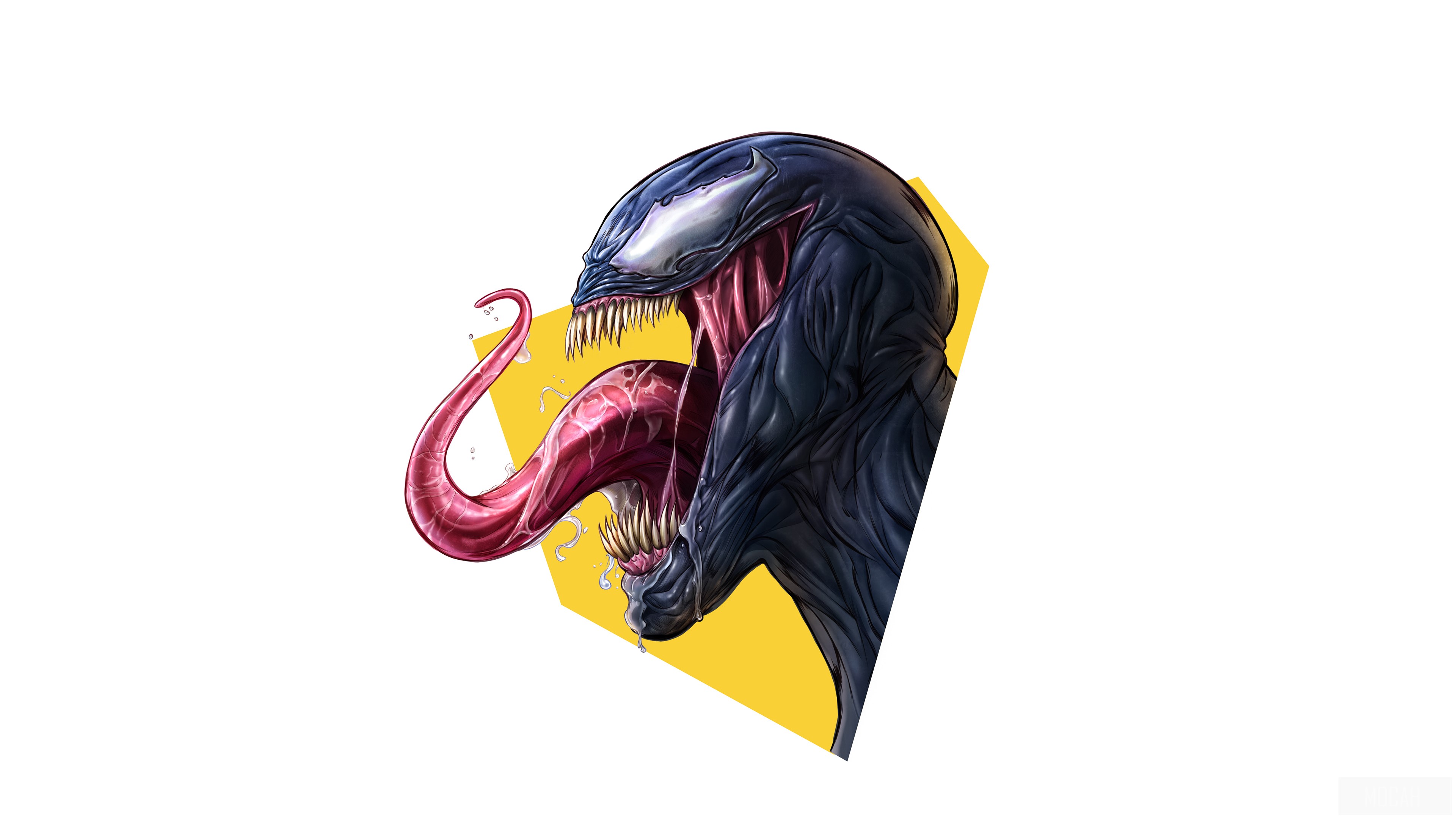 Venom minimal art HD Wallpaper