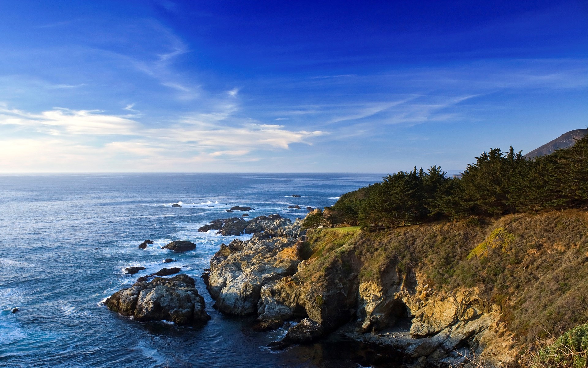 Rocky coastline with trees and ocean under blue sky HD Wallpaper