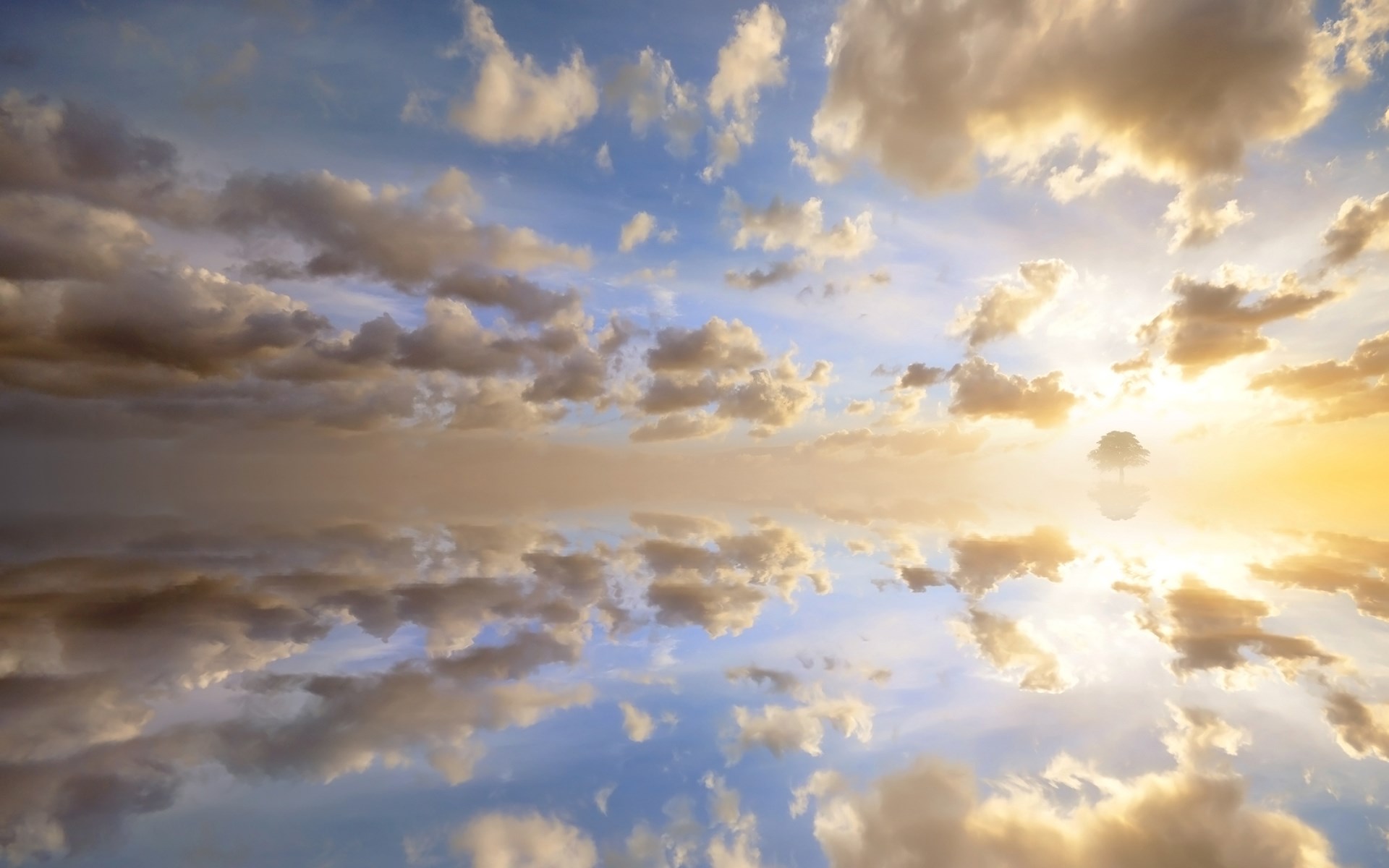 Sky reflected in water with a lone tree HD Wallpaper