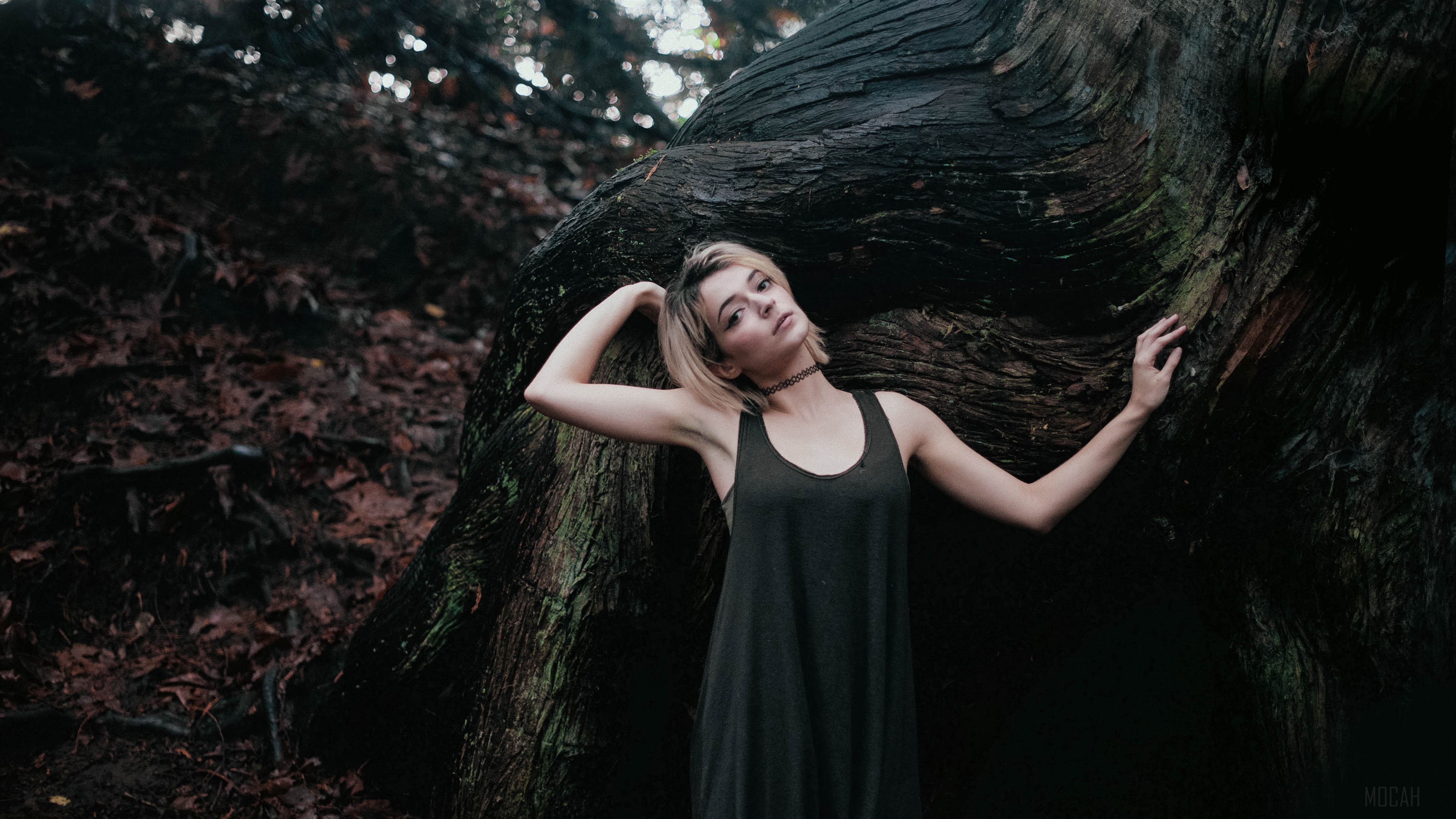 Girl posing by a large tree in a forest 4K HD Wallpaper
