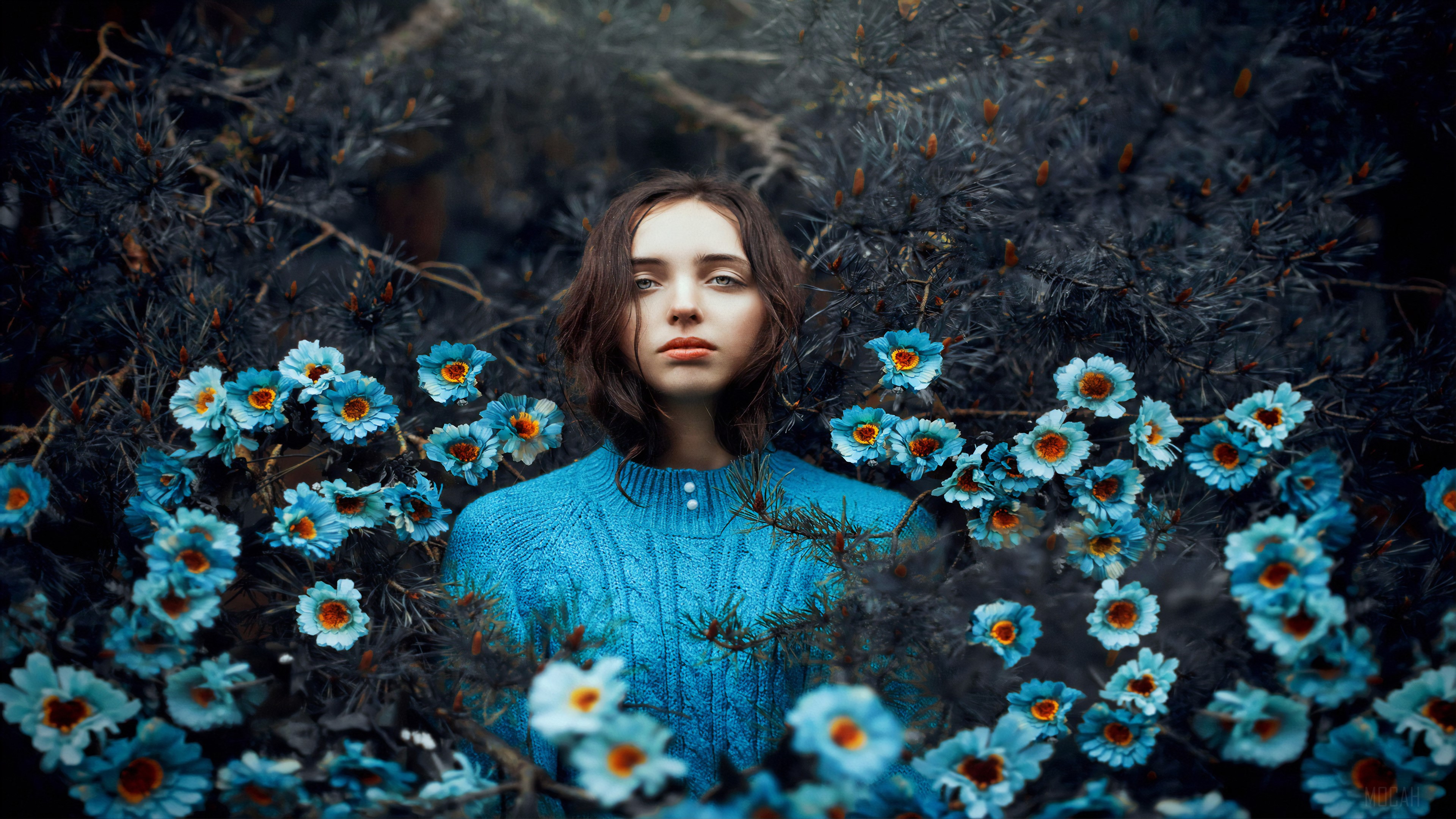 Woman in blue sweater surrounded by blue flowers HD Wallpaper