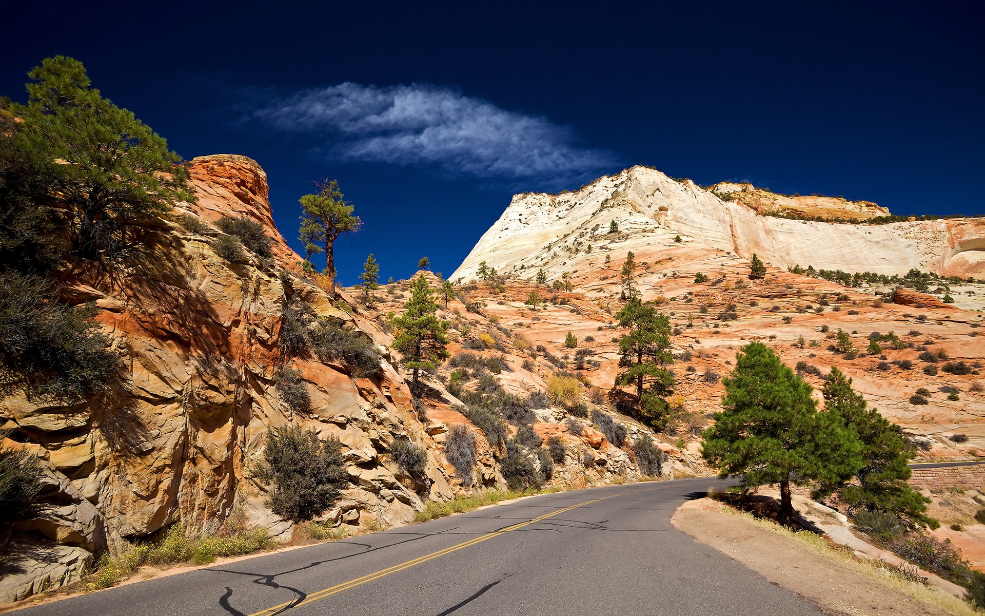 Scenic road through Zion National Park with sandstone cliffs HD Wallpaper