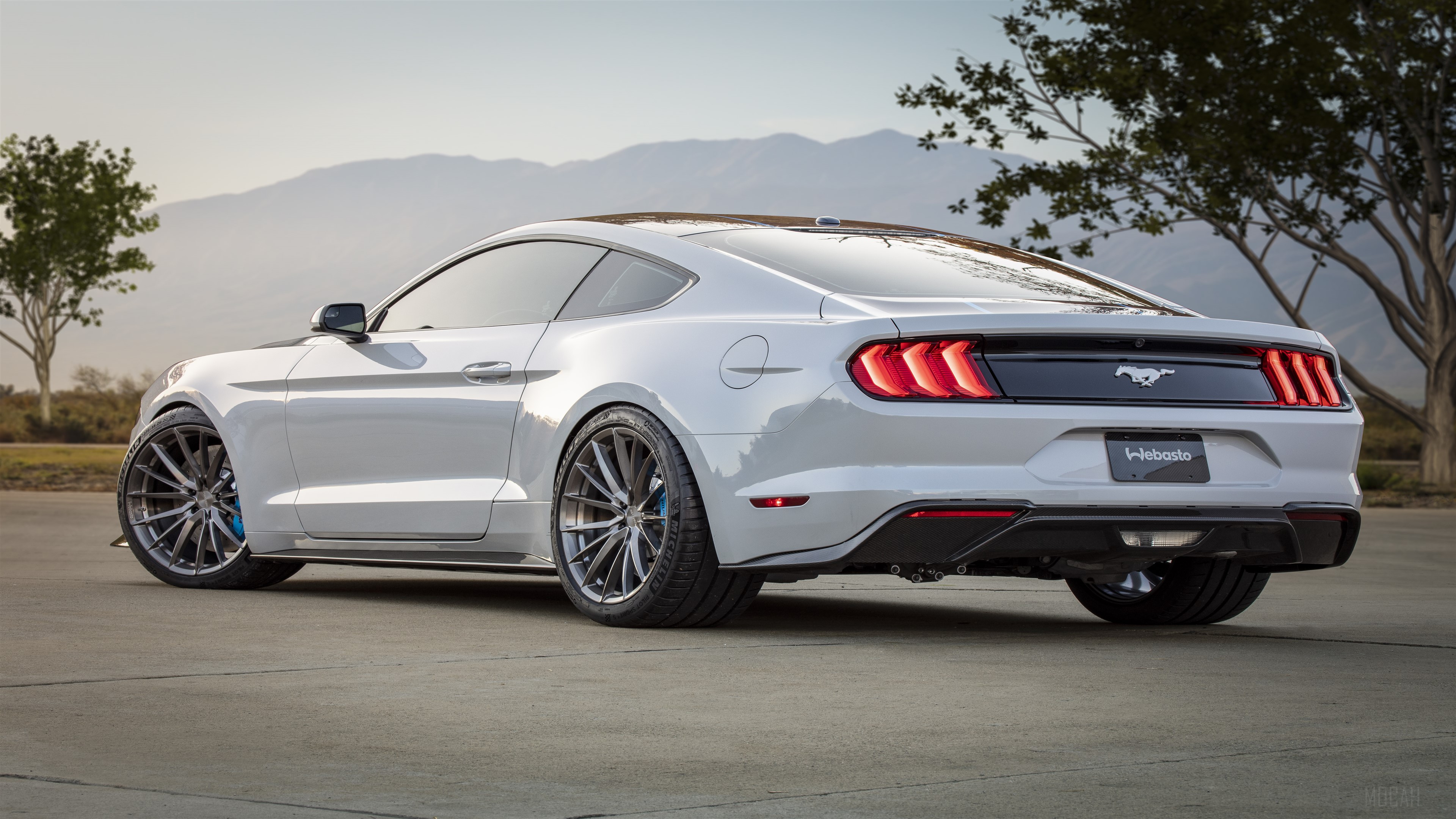 2019 Ford Mustang Lithium 4K Rear View HD Wallpaper