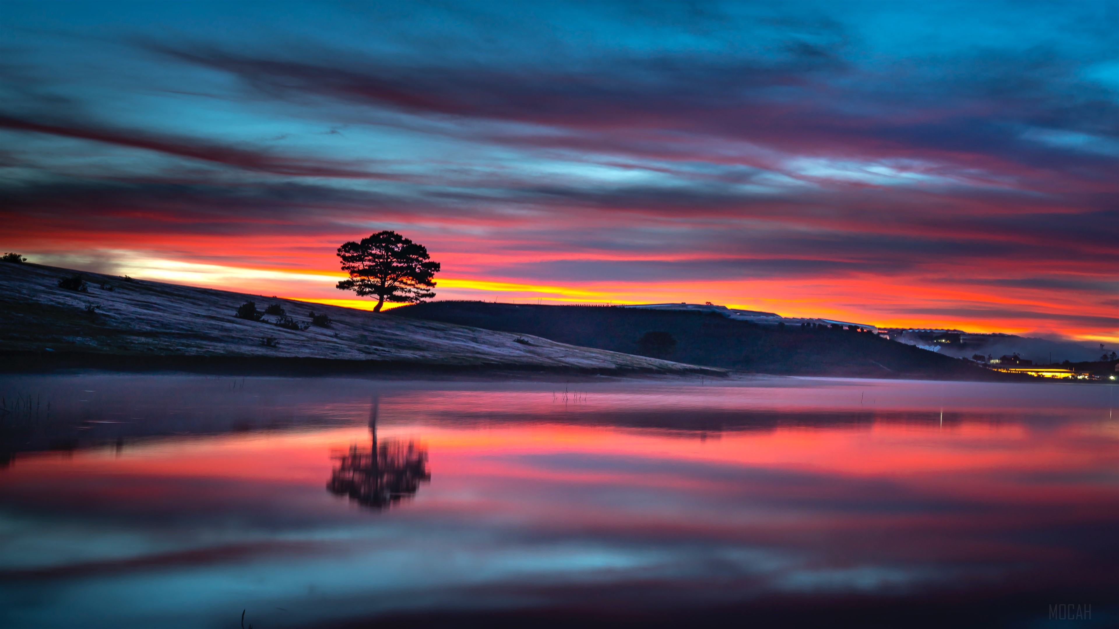 Tree Reflection on Lake at Sunset 4K HD Wallpaper