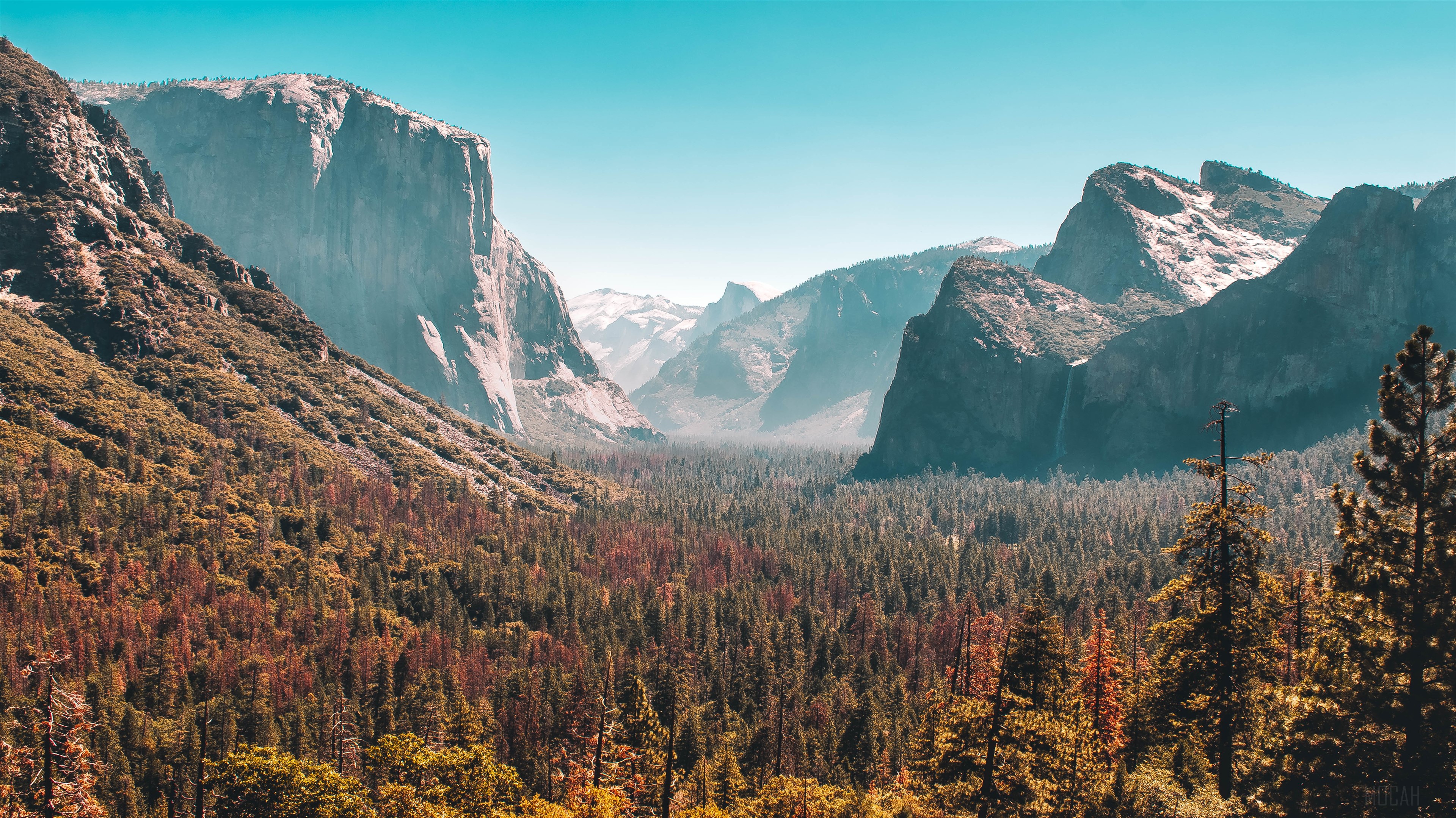 Yosemite Valley Forest and Mountains 4K HD Wallpaper
