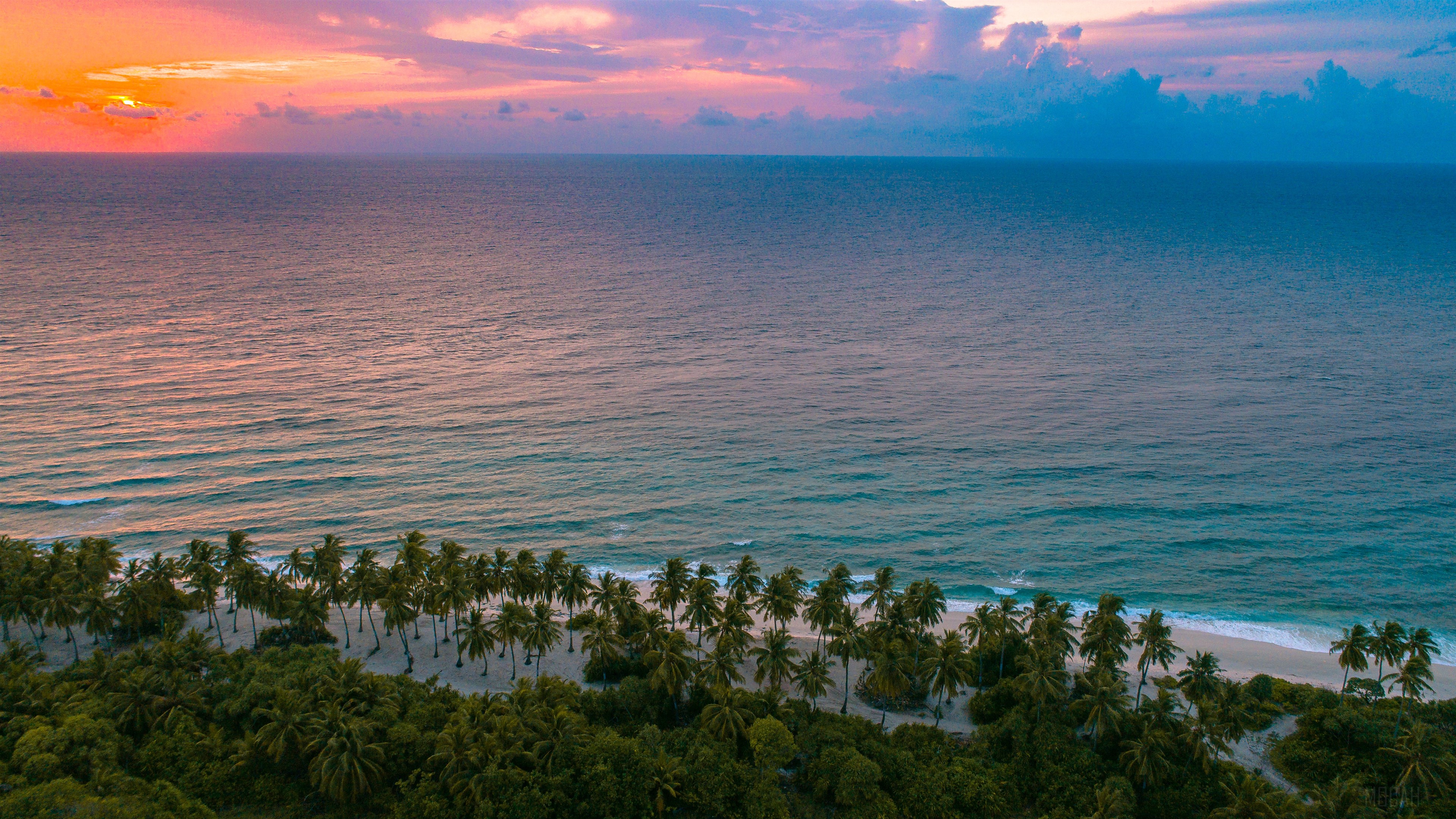 Palm Trees on Beach Beside Ocean at Sunset 4K HD Wallpaper
