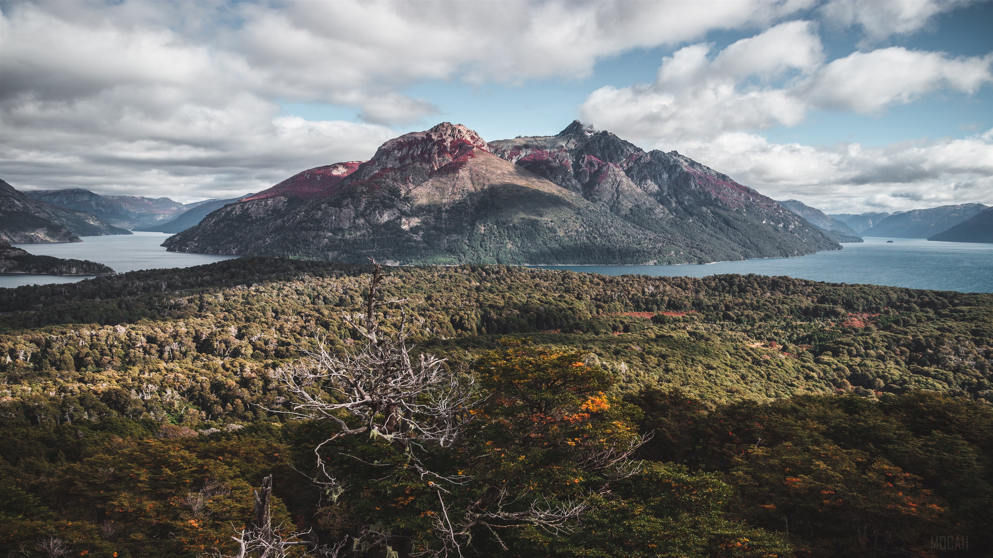 Aerial view of a lake and mountains with forest HD Wallpaper