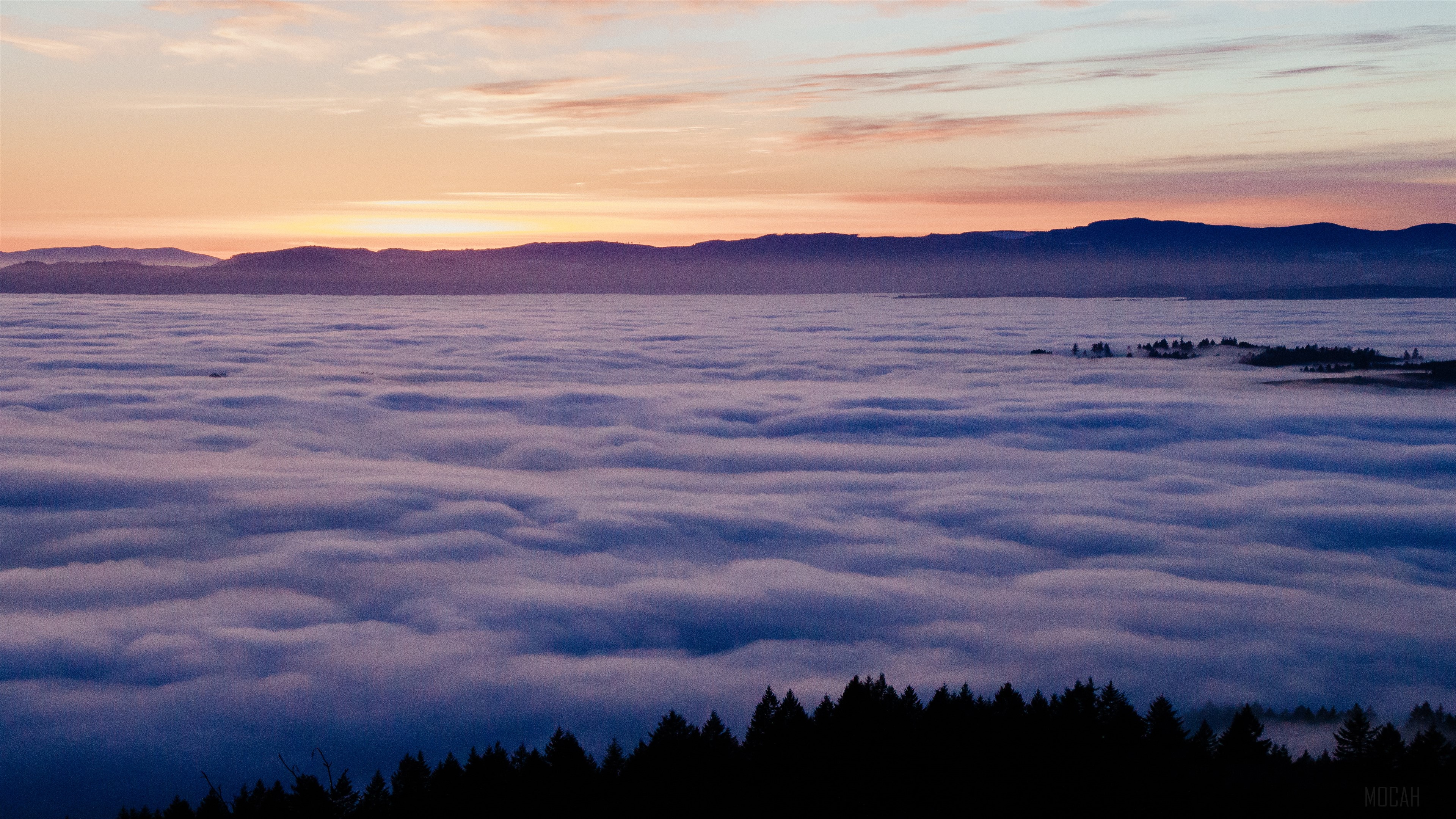 Sea of Clouds at Sunrise 4K HD Wallpaper