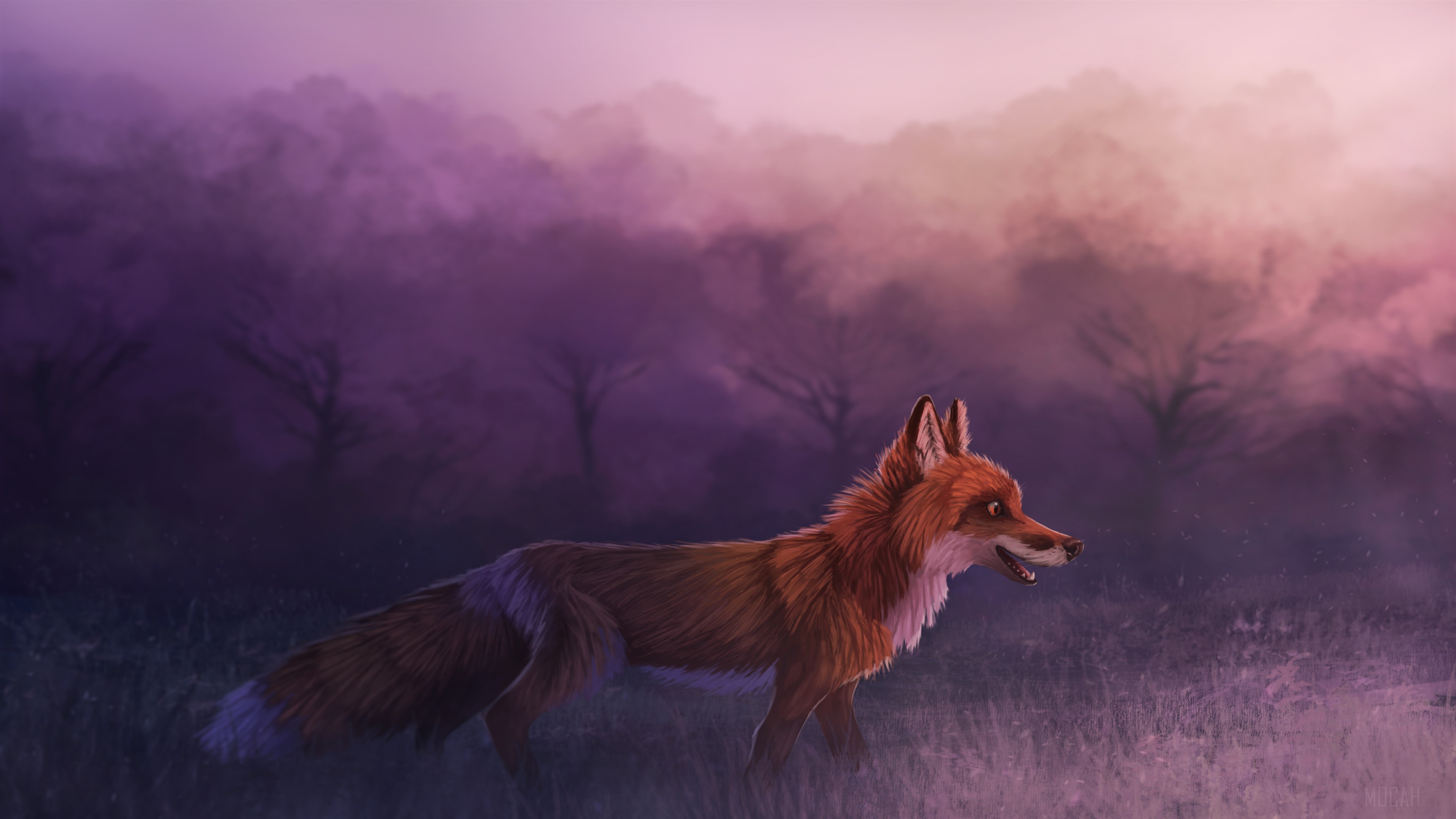 Misty Red Fox HD Wallpaper