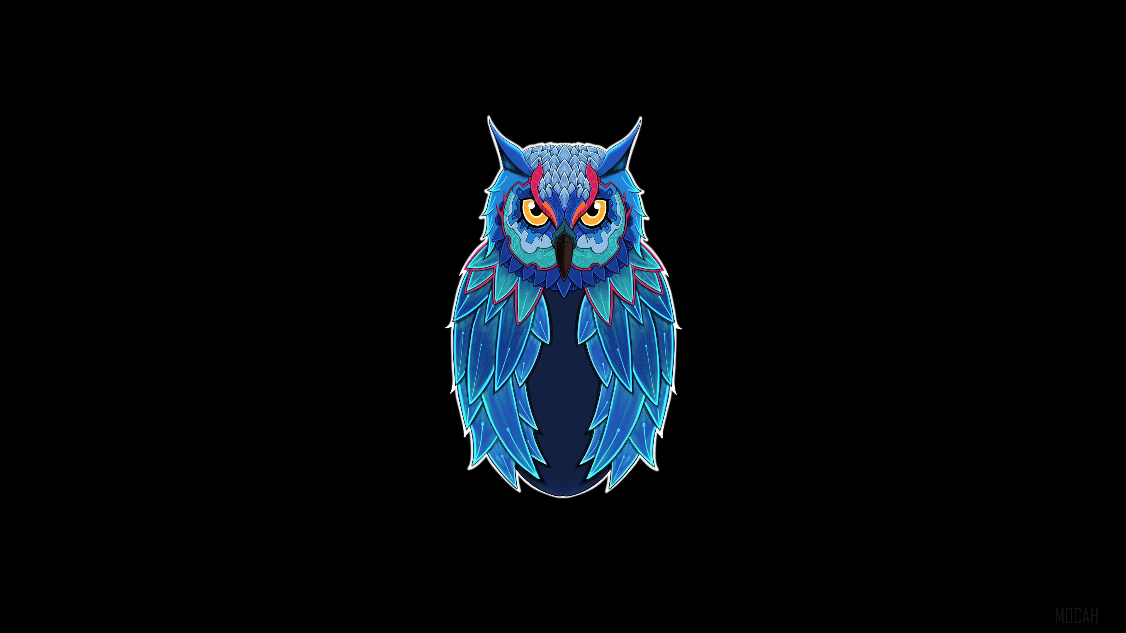 Blue owl illustration HD Wallpaper