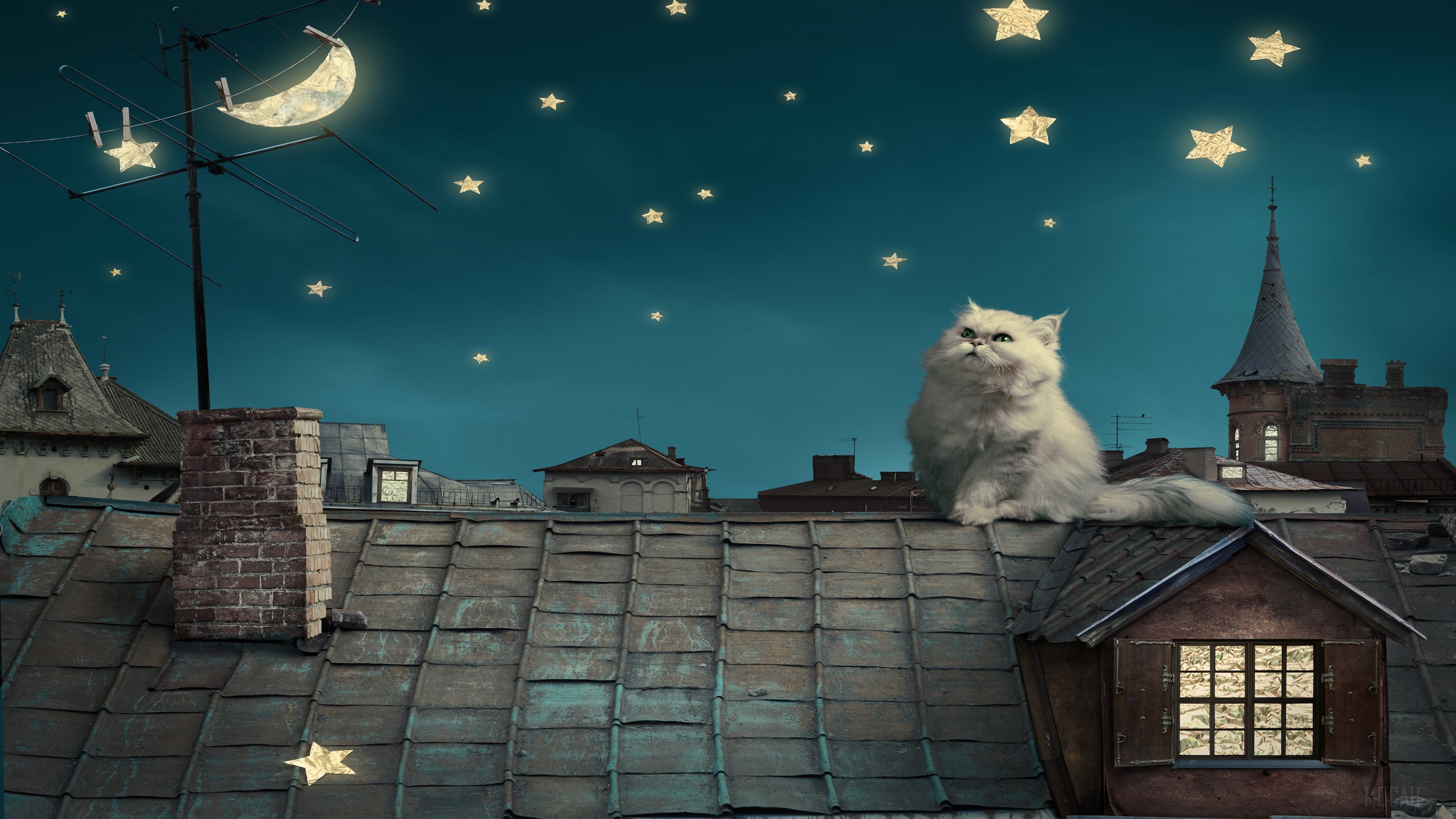 White cat on a rooftop under a starry night sky HD Wallpaper