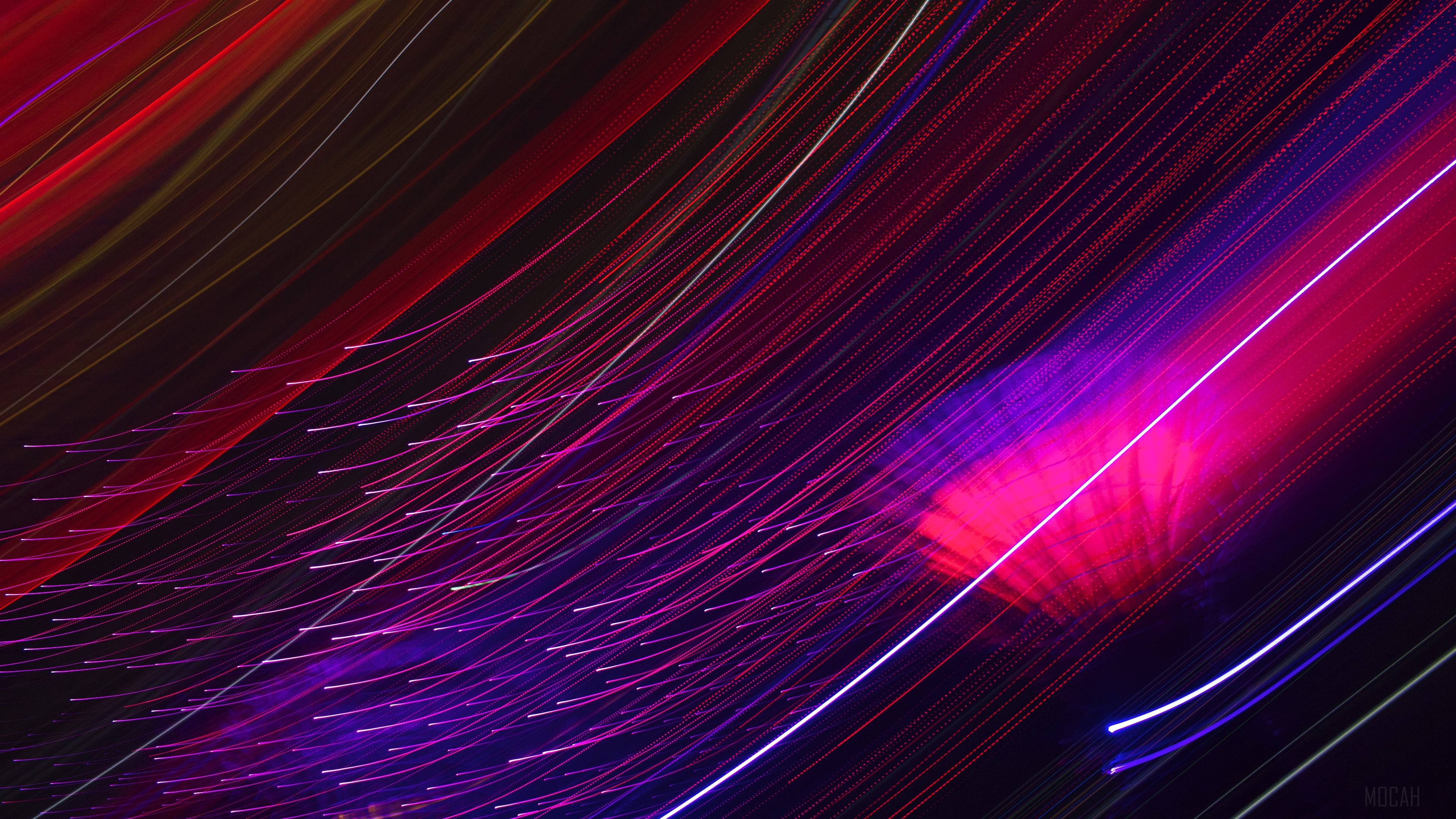 Light trails at Gardens By The Bay 4K HD Wallpaper