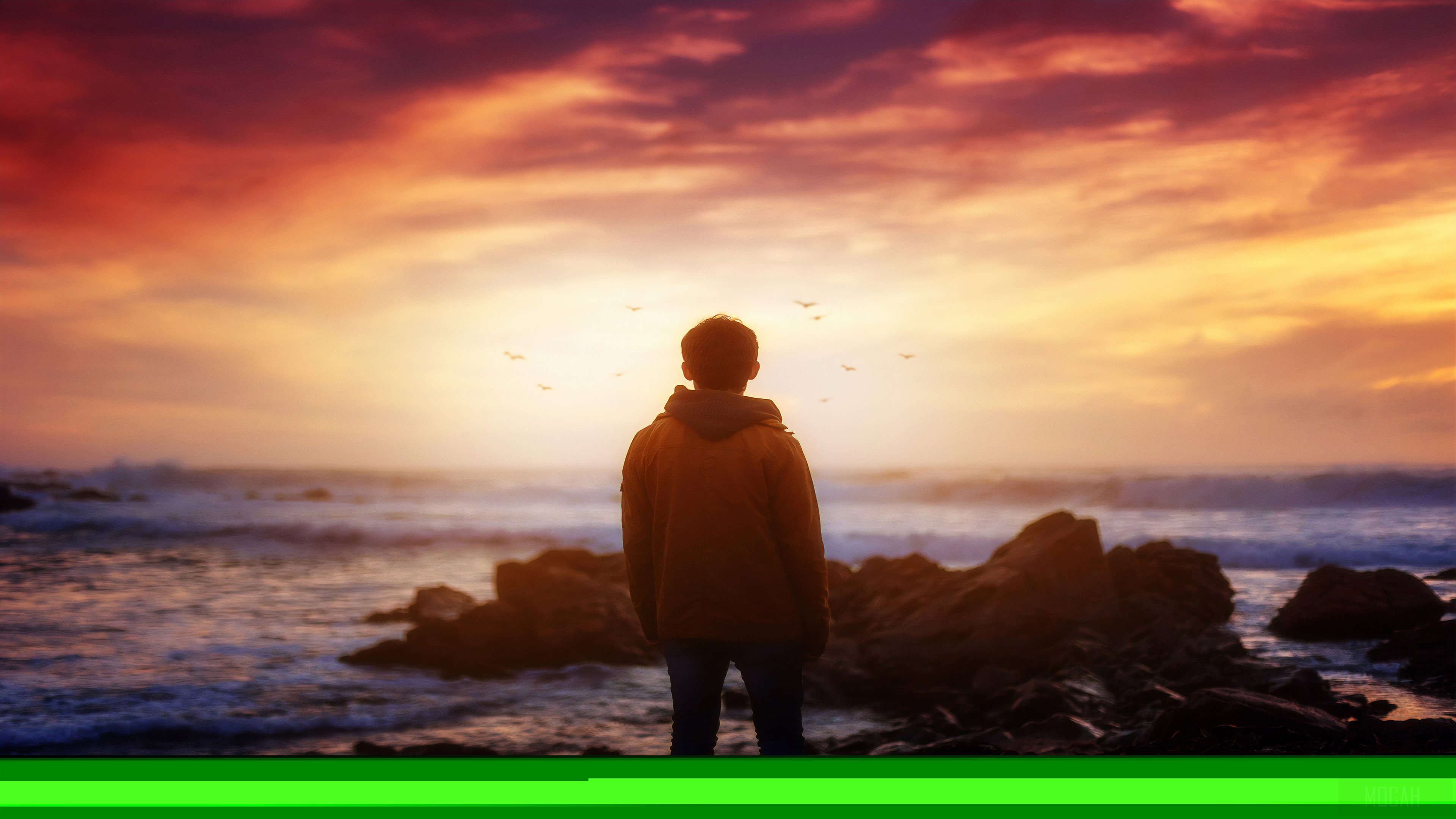 Man watching sunset over ocean HD Wallpaper