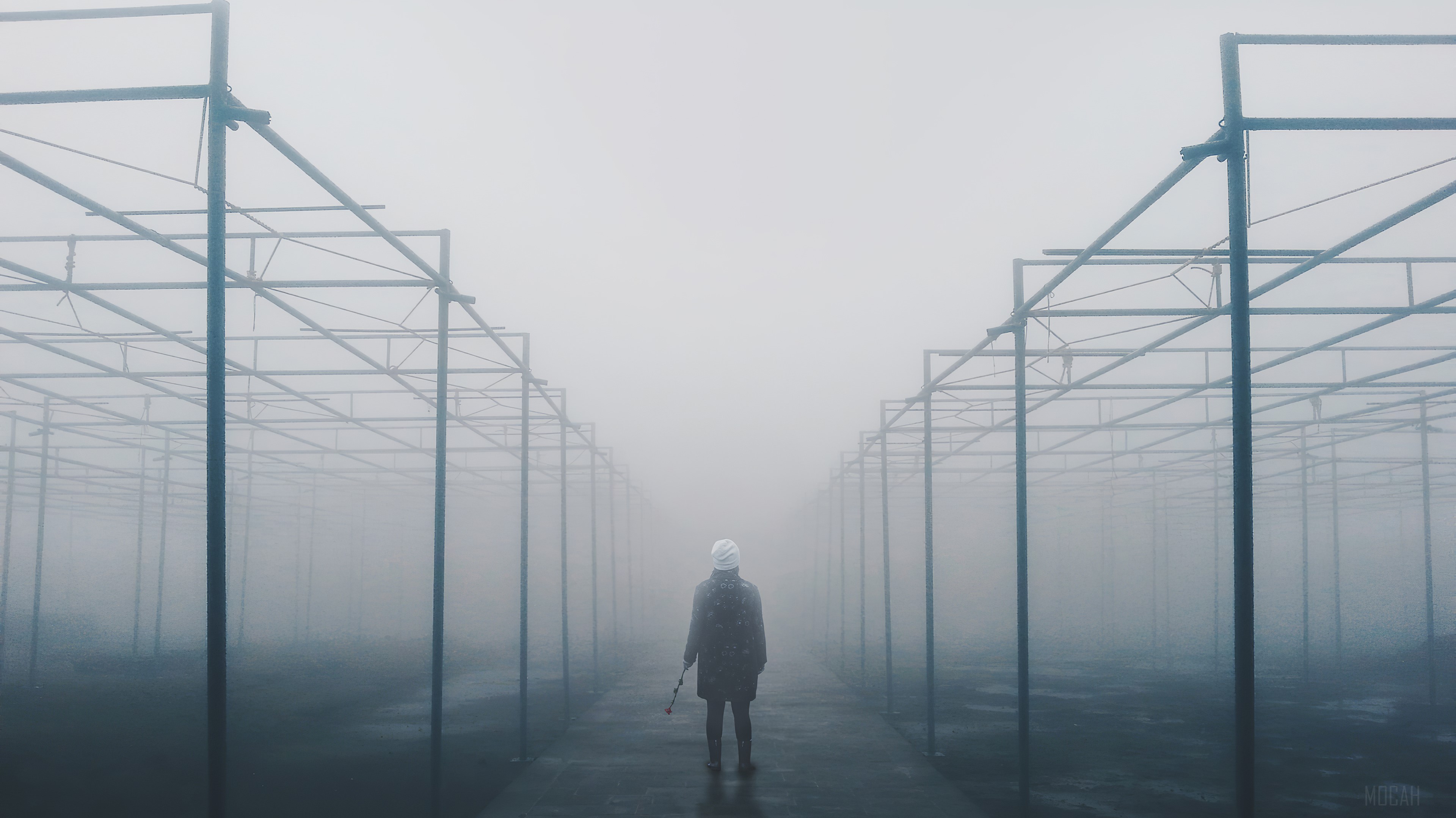 Person in a foggy greenhouse HD Wallpaper