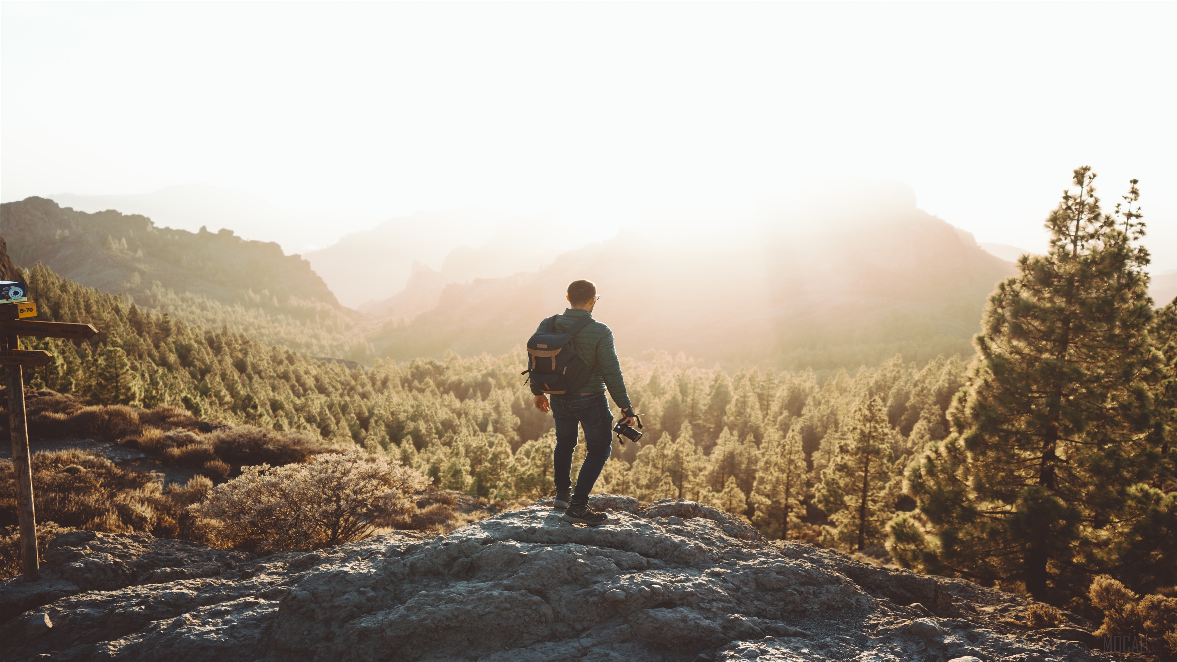 Man with backpack and camera on a hill overlooking a forest HD Wallpaper