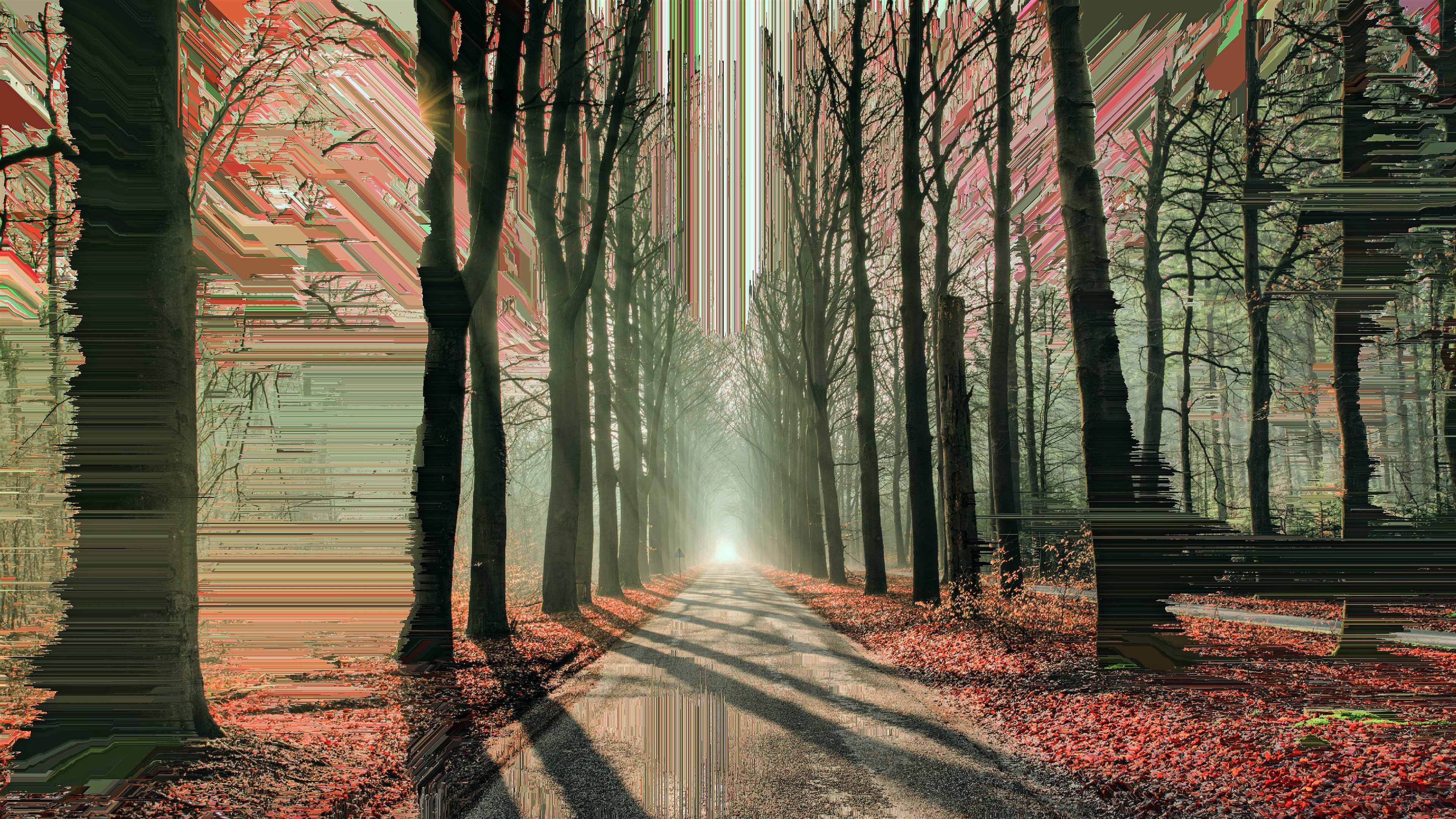 Artistic Glitch Forest Road 4K HD Wallpaper