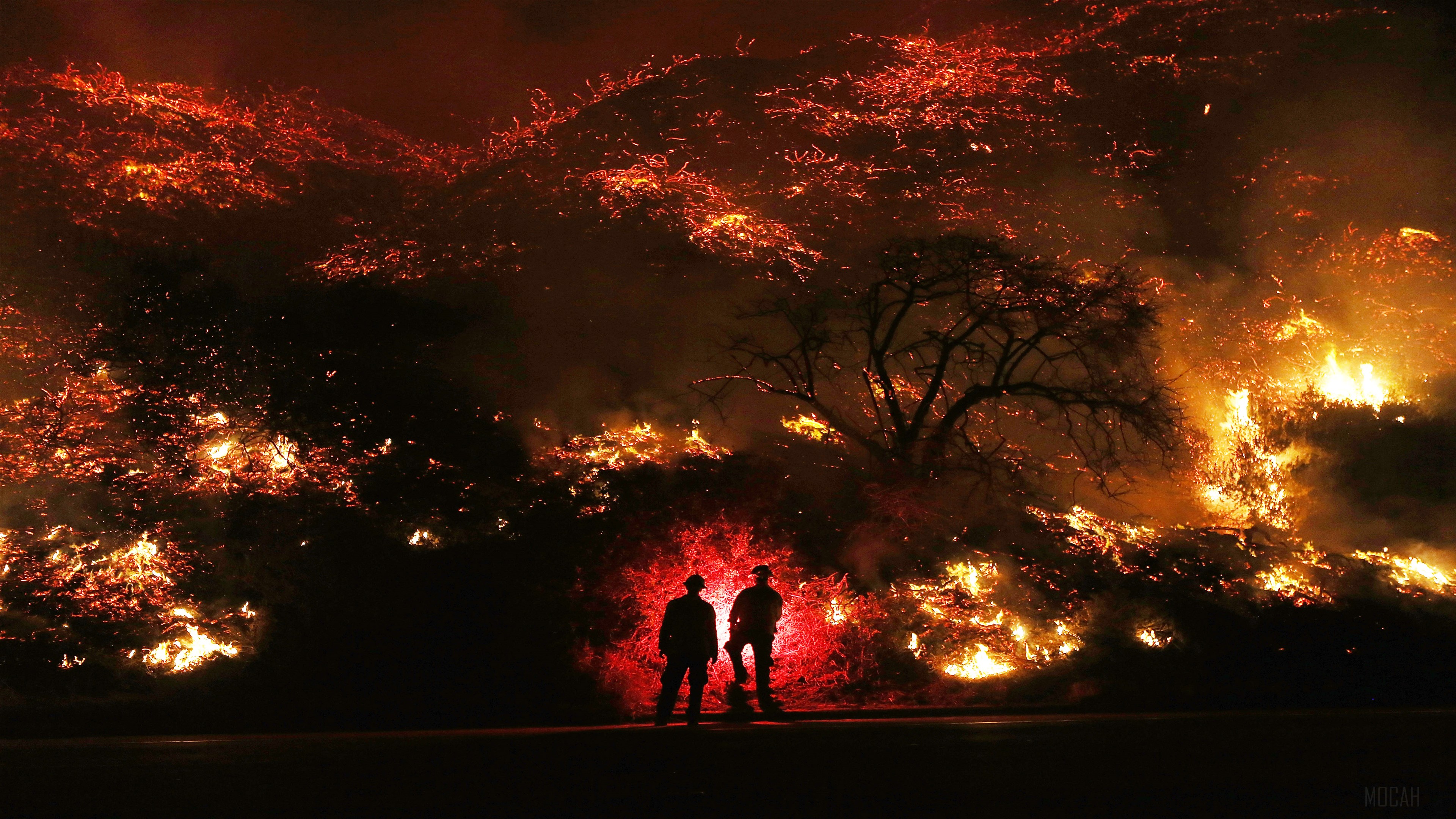 Two men in front of a forest fire 4K HD Wallpaper