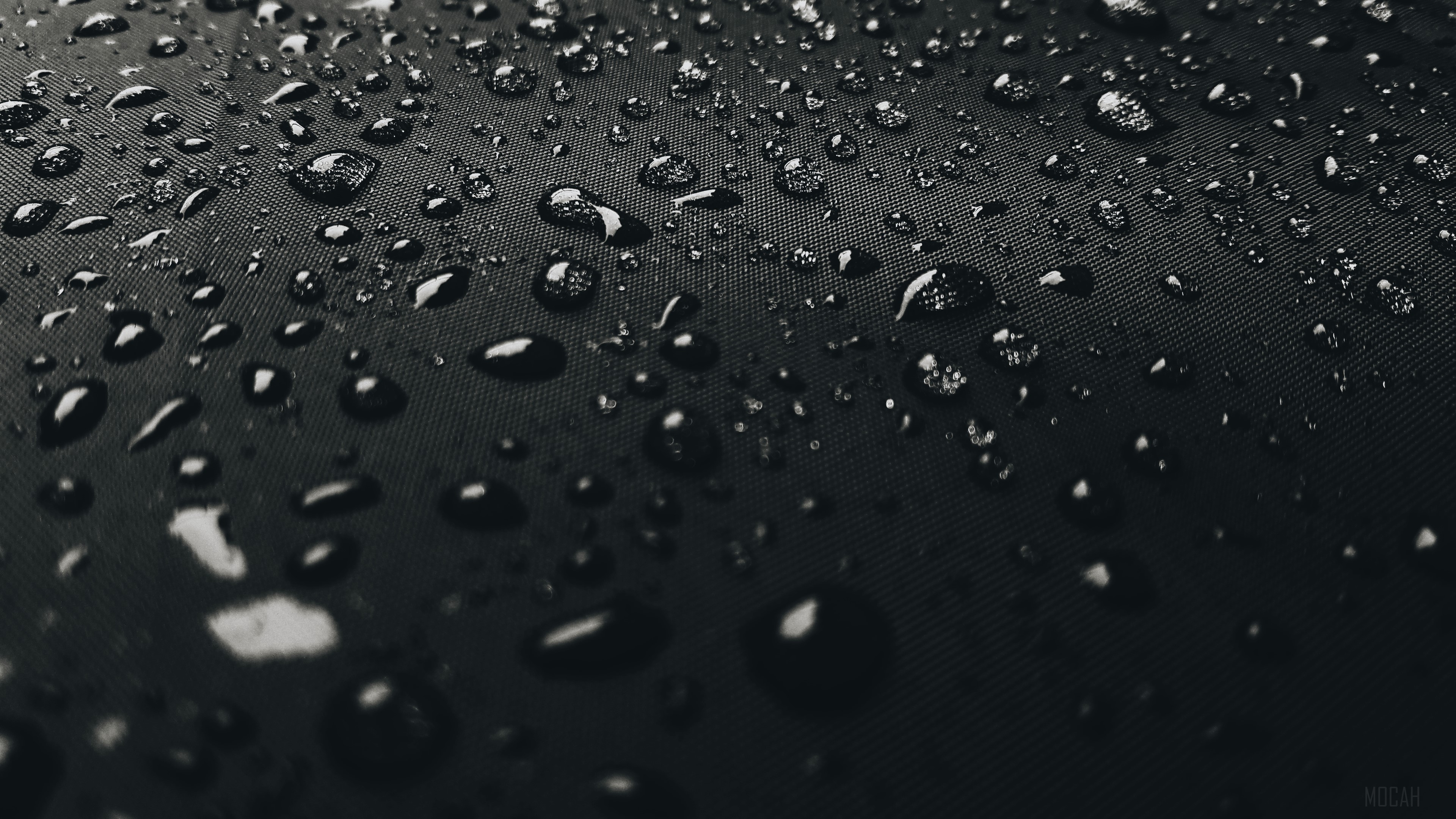Water Drops On Black Surface HD Wallpaper