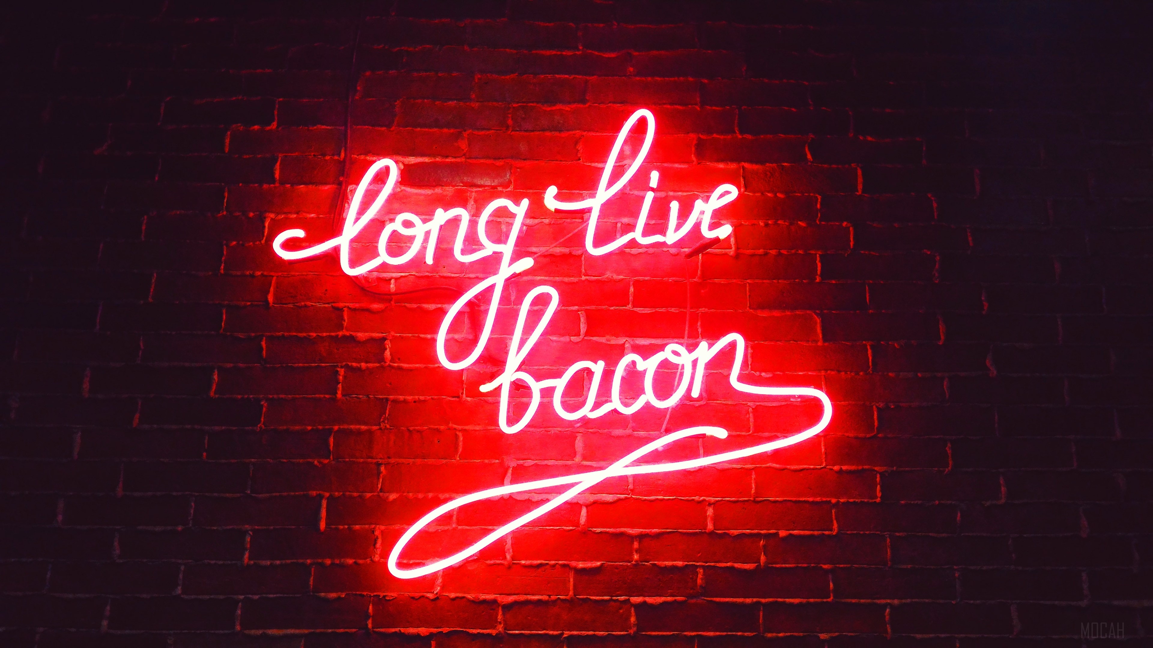 Long Live Bacon Neon Sign 4K HD Wallpaper