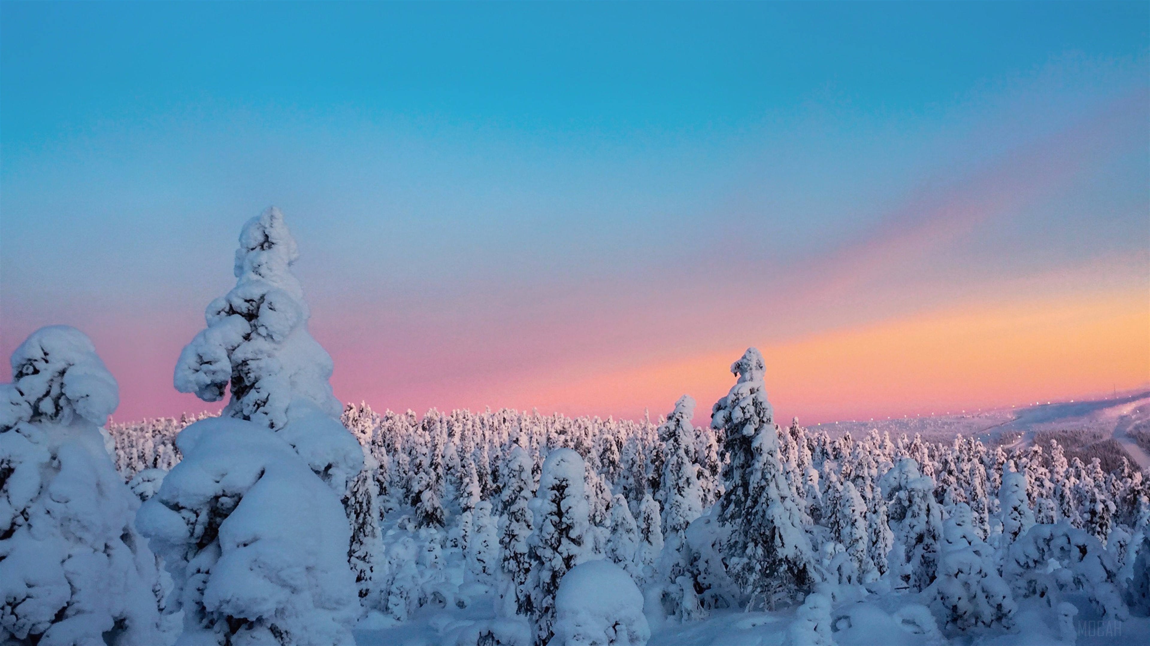Snow-covered trees at sunset HD Wallpaper